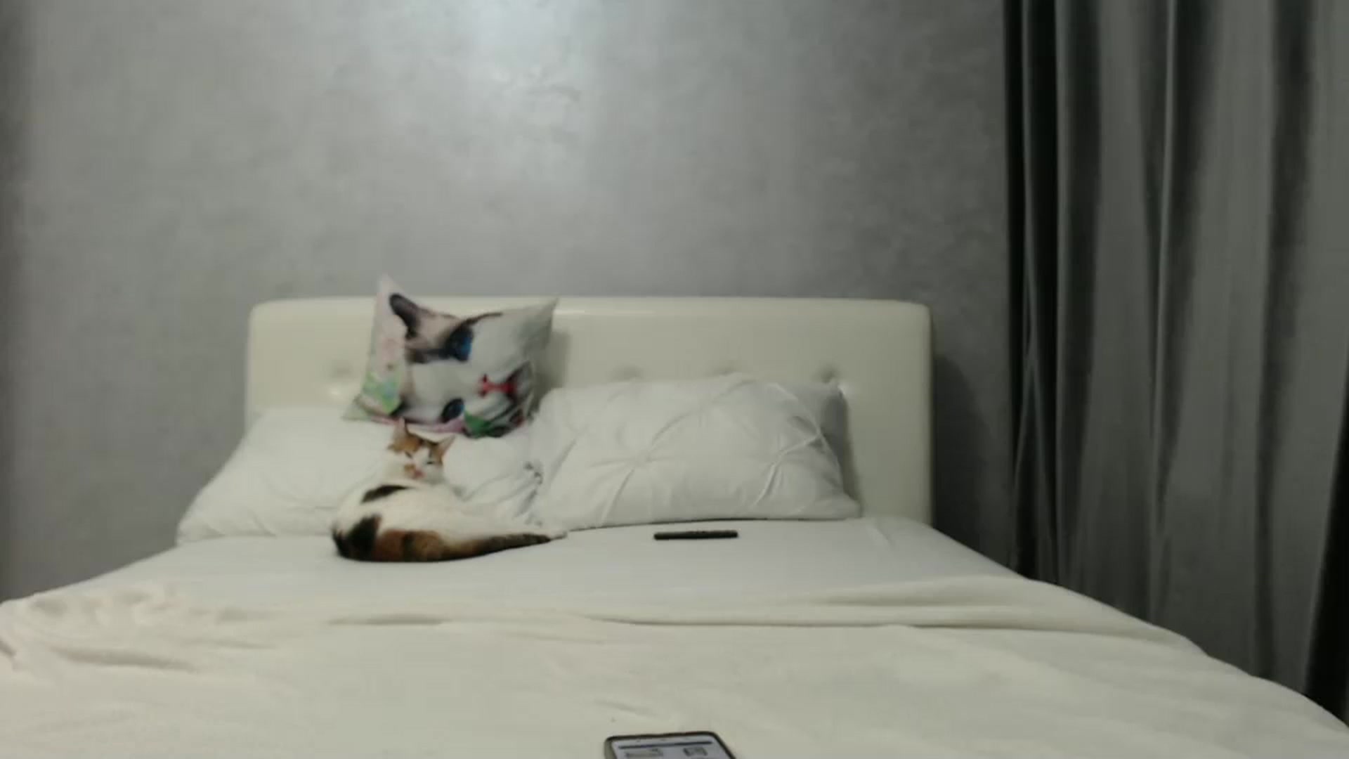 Gallery image thumbnail from Aahh_Emilia's myfreecams stream on, 12/22/2024, 18:09 image 18 of 20