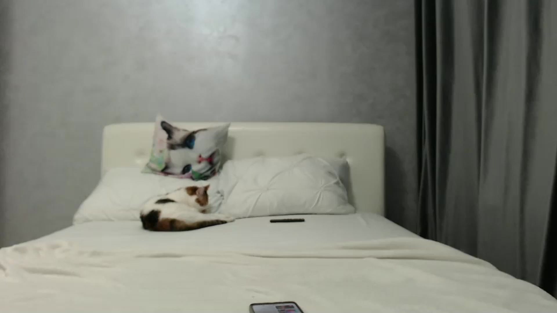Gallery image thumbnail from Aahh_Emilia's myfreecams stream on, 12/22/2024, 18:09 image 17 of 20