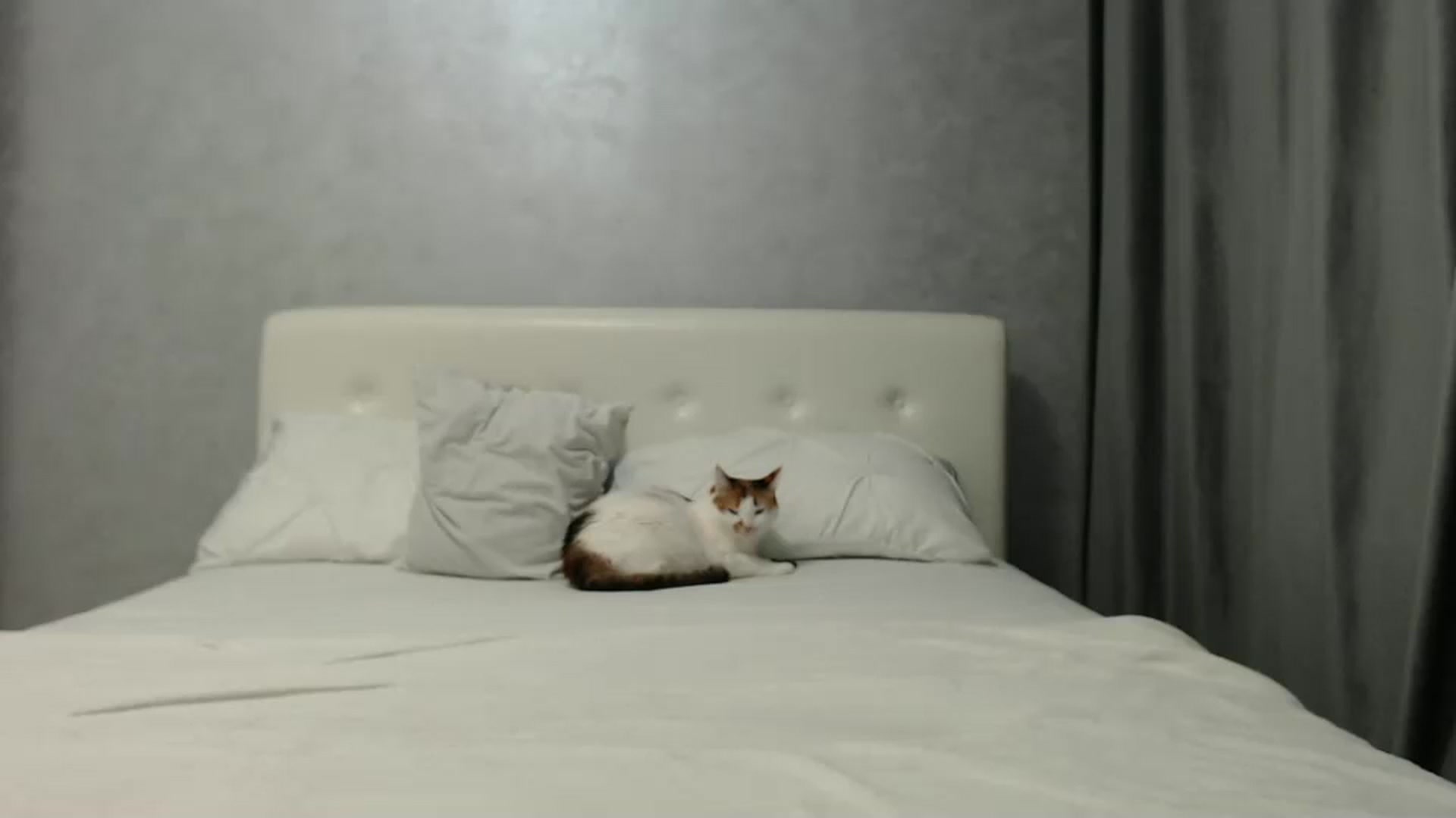 Gallery image thumbnail from Aahh_Emilia's myfreecams stream on, 12/27/2024, 18:11 image 7 of 20