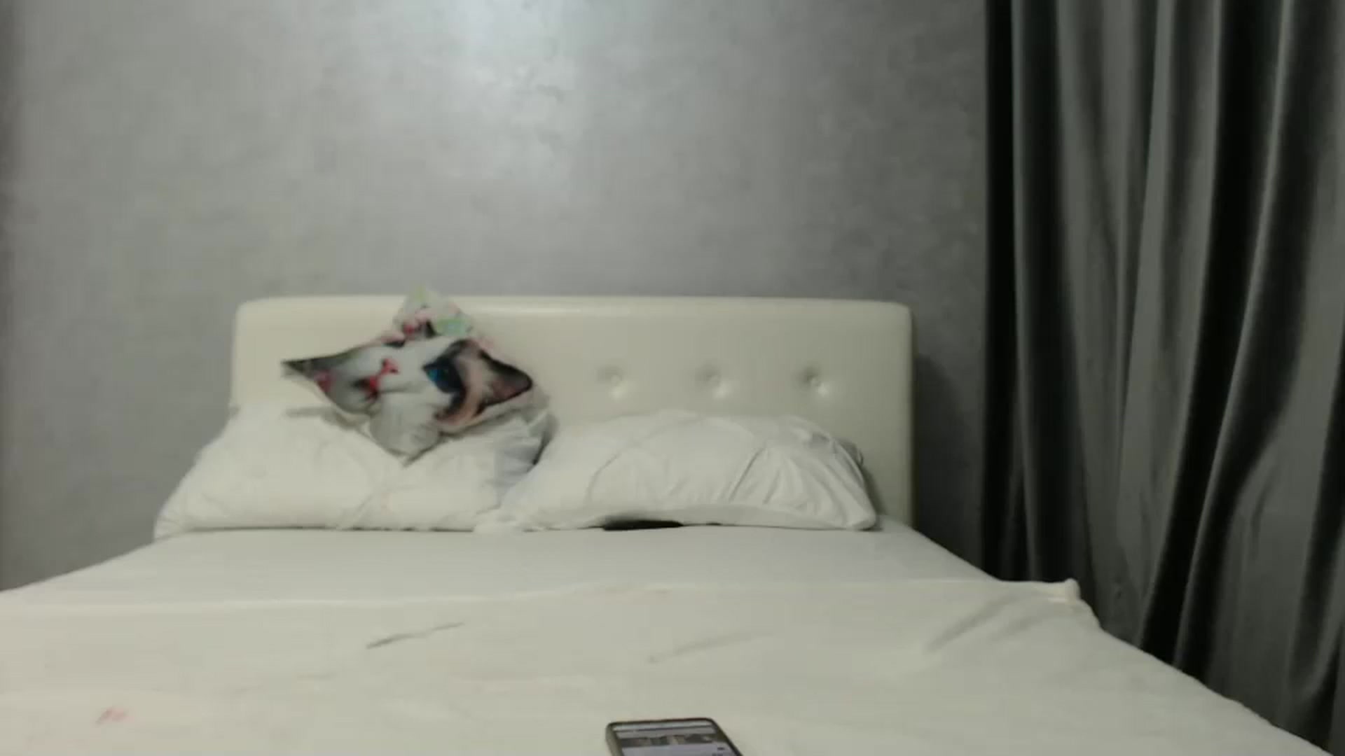 Gallery image thumbnail from Aahh_Emilia's myfreecams stream on, 12/28/2024, 18:01 image 17 of 20