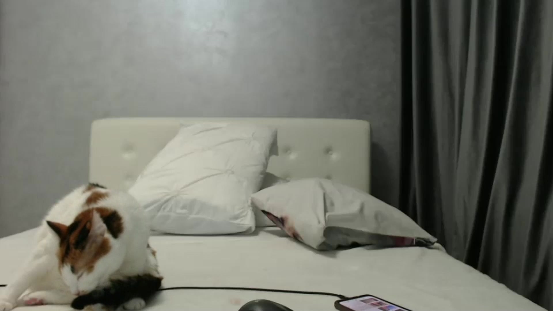 Gallery image thumbnail from Aahh_Emilia's myfreecams stream on, 12/28/2024, 19:59 image 19 of 20
