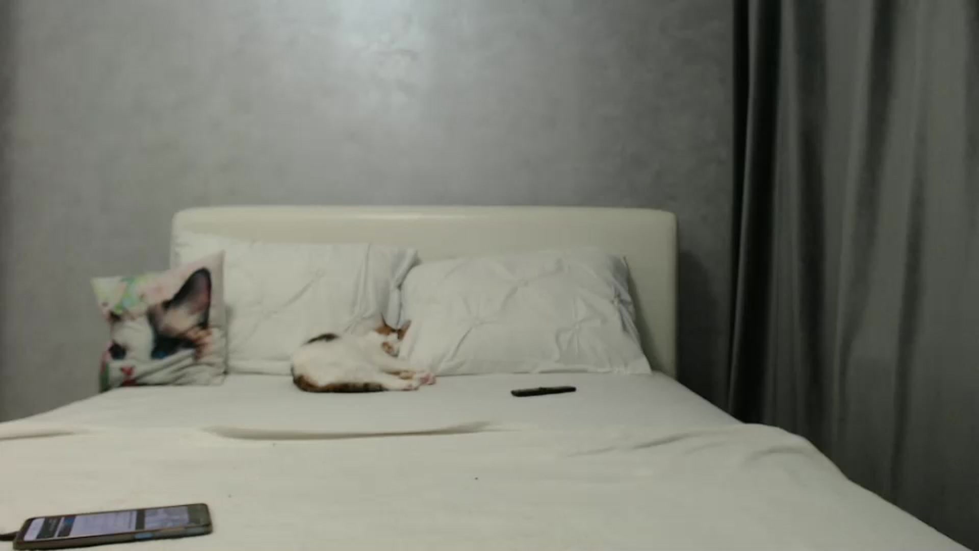 Gallery image thumbnail from Aahh_Emilia's myfreecams stream on, 12/30/2024, 17:39 image 11 of 20