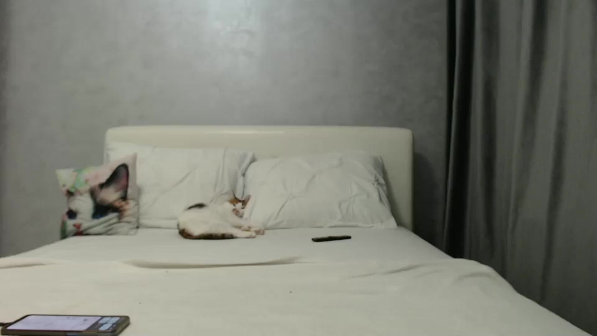 Gallery image thumbnail from Aahh_Emilia's myfreecams stream on, 12/30/2024, 17:39 image 9 of 20