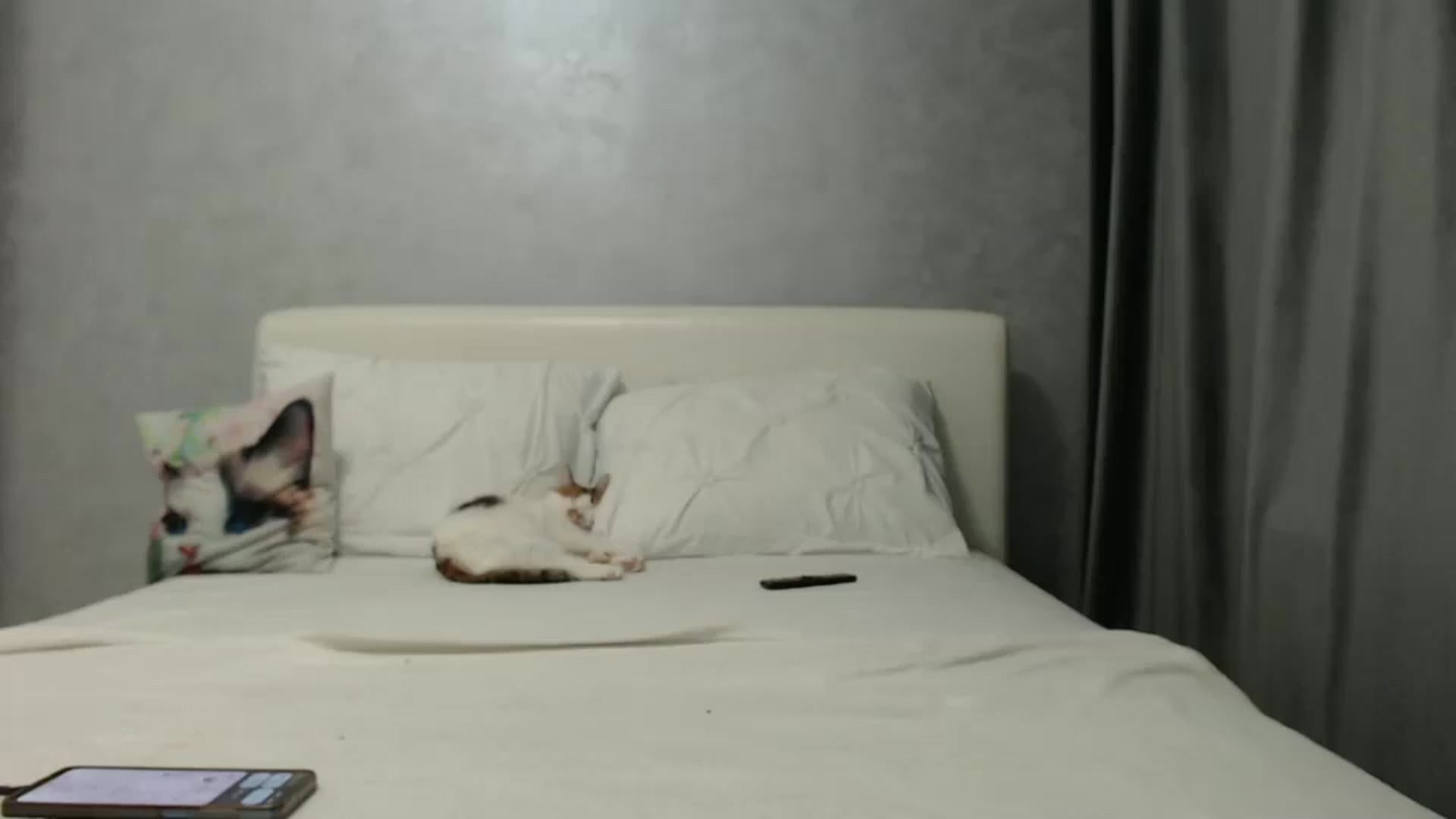 Gallery image thumbnail from Aahh_Emilia's myfreecams stream on, 12/30/2024, 17:39 image 10 of 20