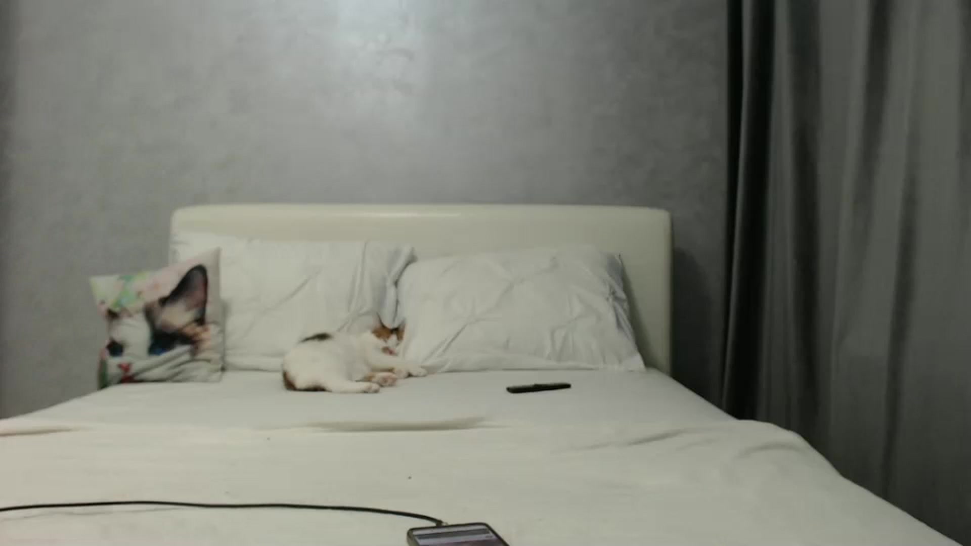 Gallery image thumbnail from Aahh_Emilia's myfreecams stream on, 12/30/2024, 17:39 image 18 of 20