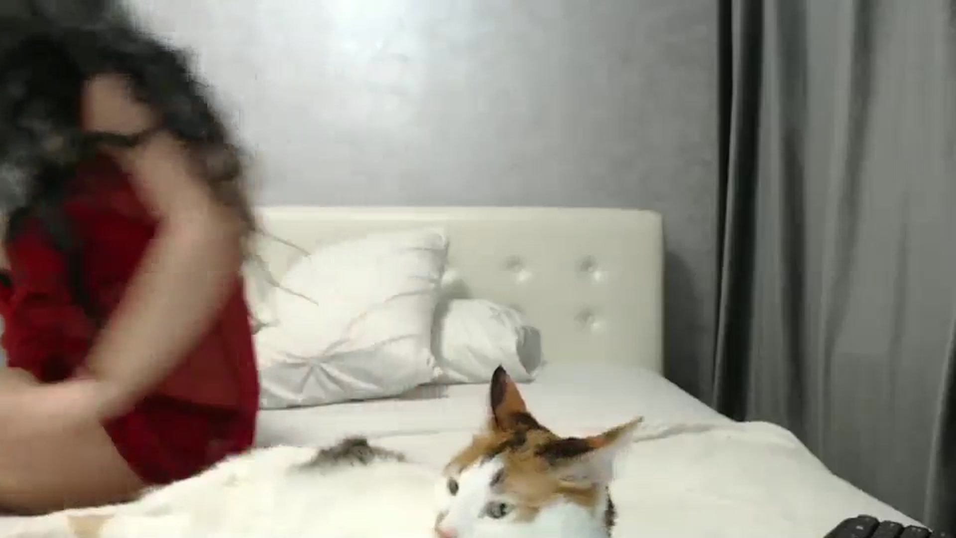 Gallery image thumbnail from Aahh_Emilia's myfreecams stream on, 12/30/2024, 19:31 image 17 of 20