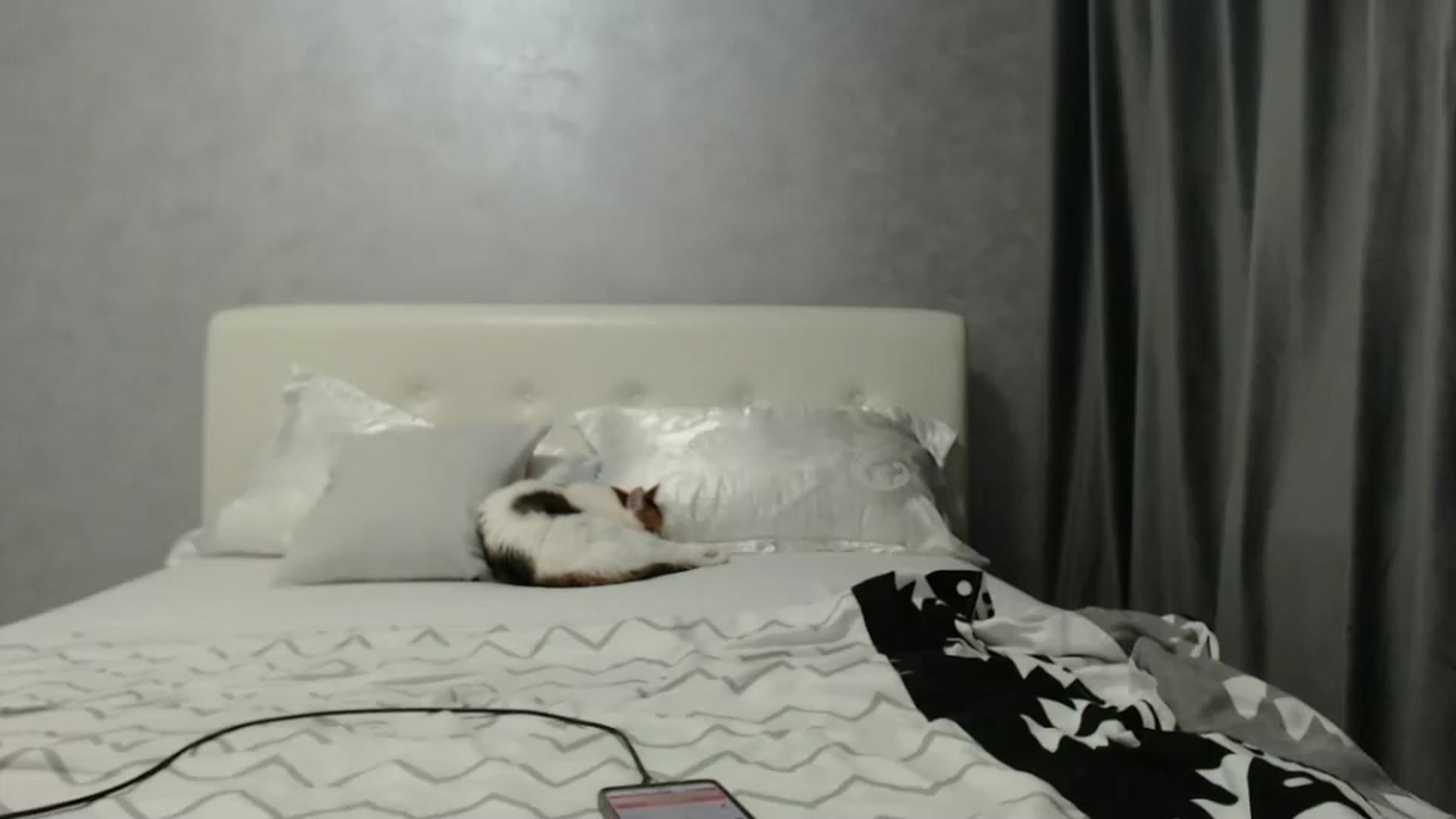 Gallery image thumbnail from Aahh_Emilia's myfreecams stream on, 12/31/2024, 17:44 image 15 of 20