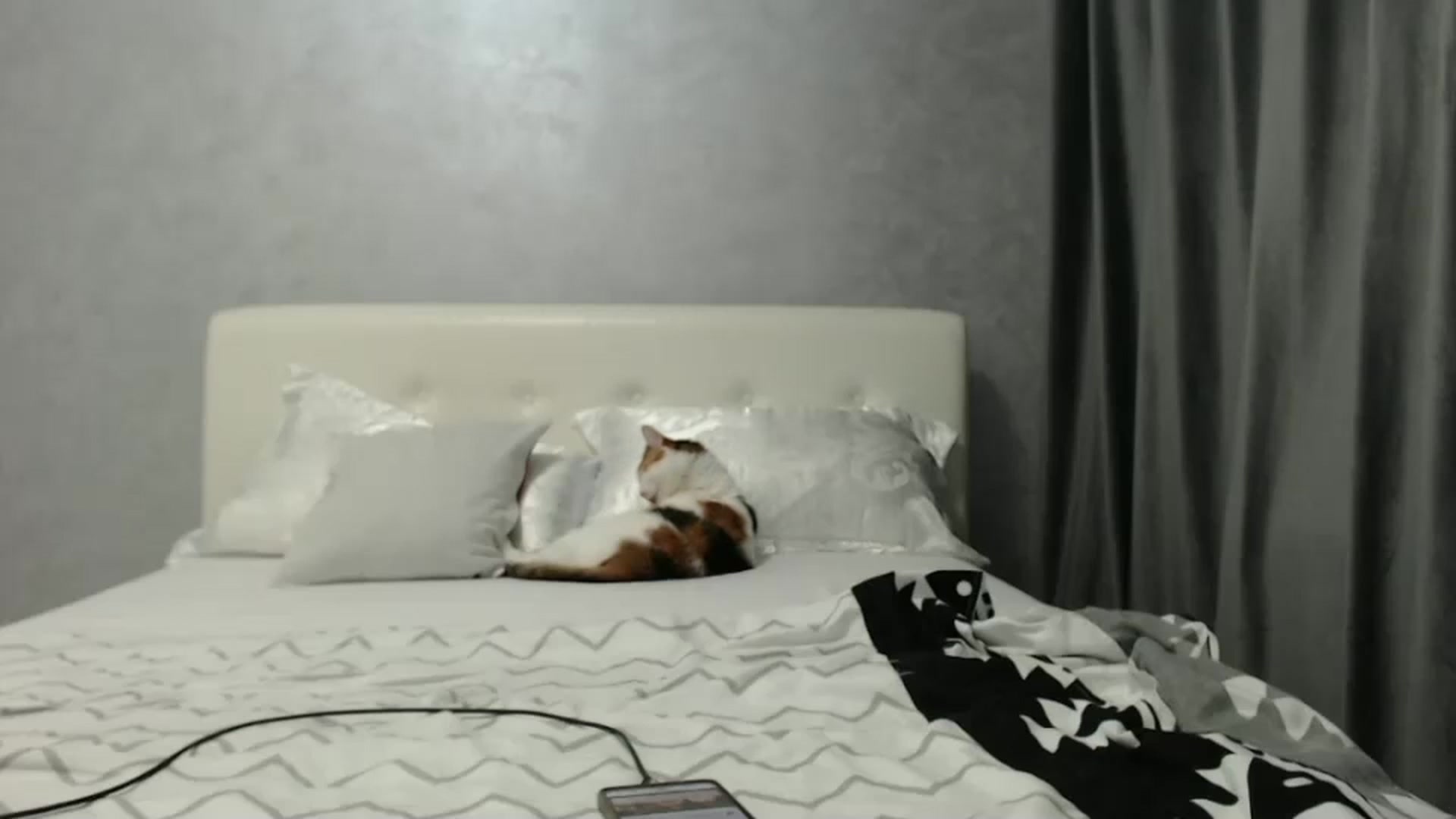 Gallery image thumbnail from Aahh_Emilia's myfreecams stream on, 12/31/2024, 17:44 image 13 of 20