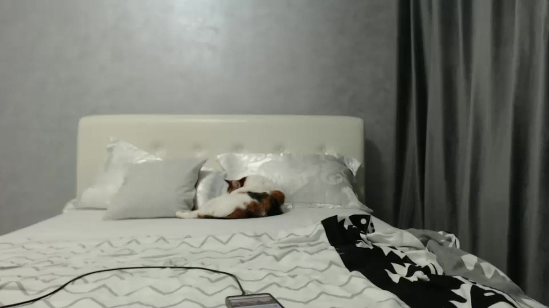 Gallery image thumbnail from Aahh_Emilia's myfreecams stream on, 12/31/2024, 17:44 image 12 of 20