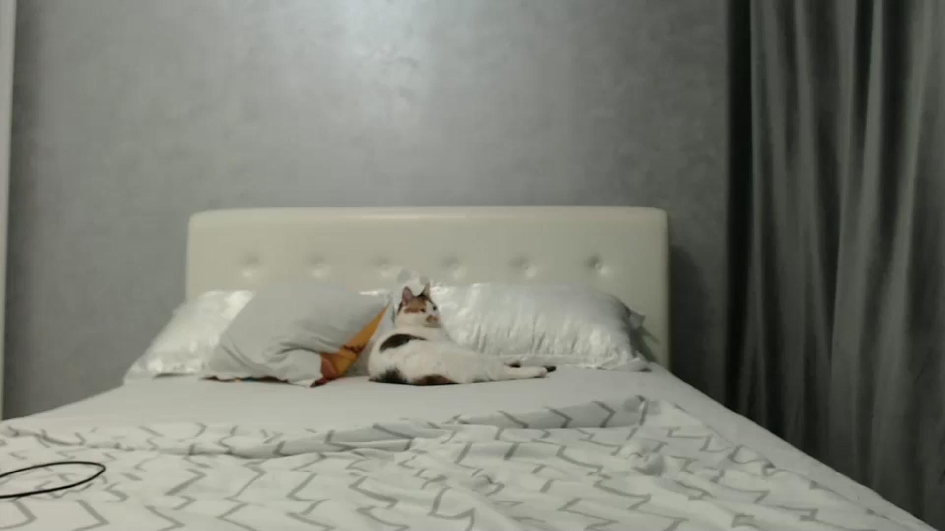 Gallery image thumbnail from Aahh_Emilia's myfreecams stream on, 01/03/2025, 18:19 image 8 of 20