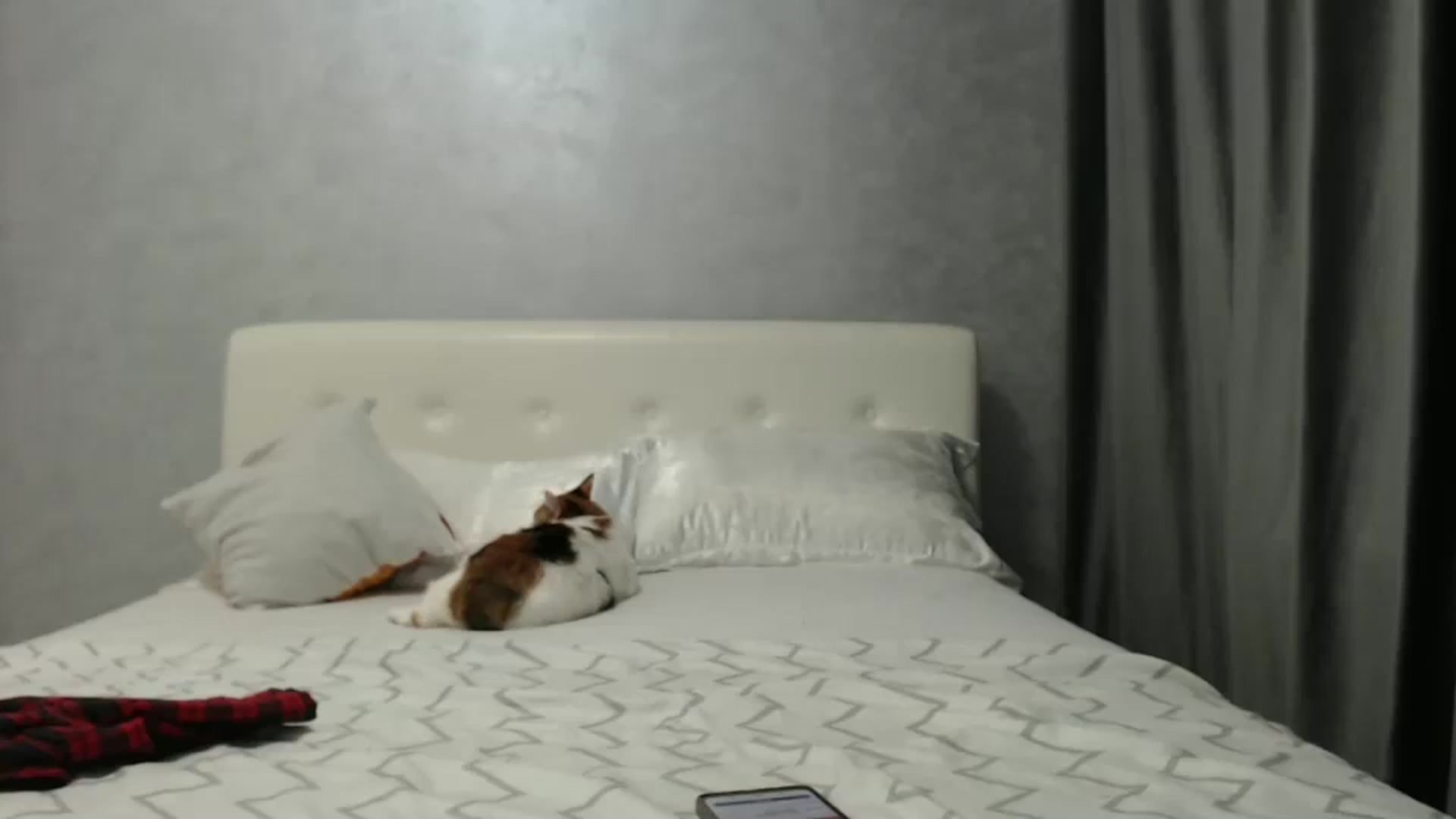 Gallery image thumbnail from Aahh_Emilia's myfreecams stream on, 01/05/2025, 17:57 image 19 of 20