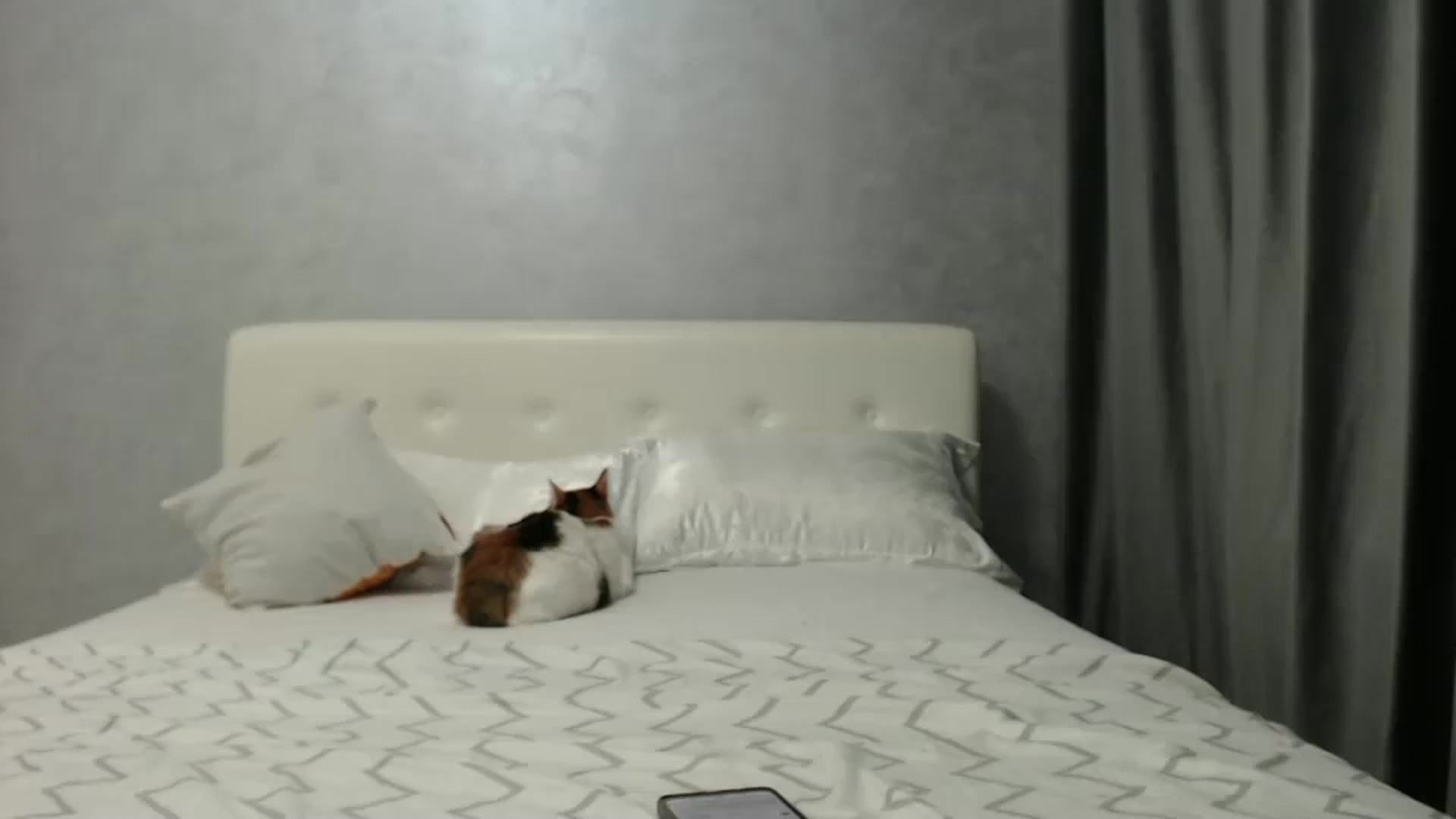 Gallery image thumbnail from Aahh_Emilia's myfreecams stream on, 01/05/2025, 17:57 image 12 of 20