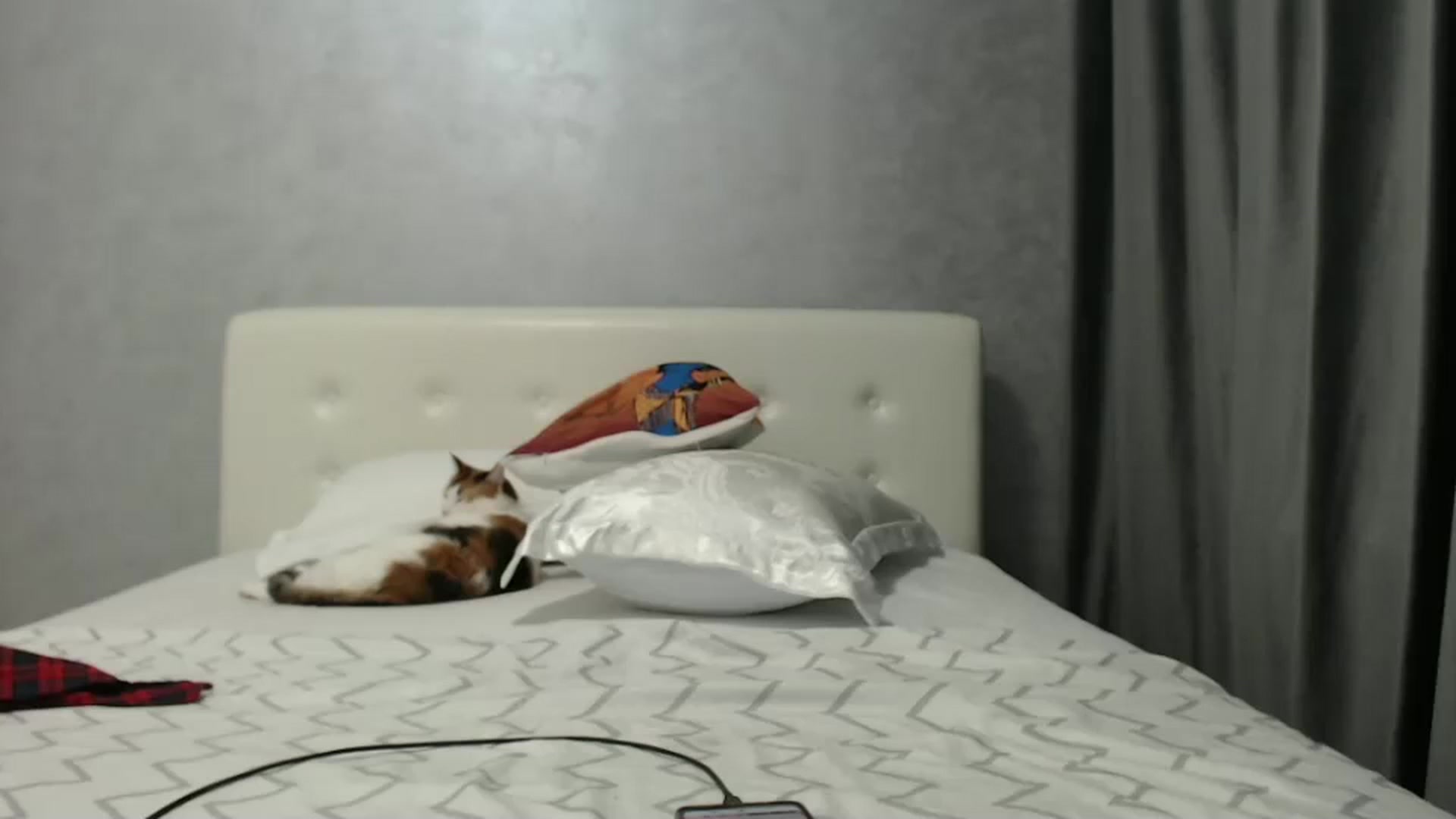 Gallery image thumbnail from Aahh_Emilia's myfreecams stream on, 01/05/2025, 19:34 image 16 of 20