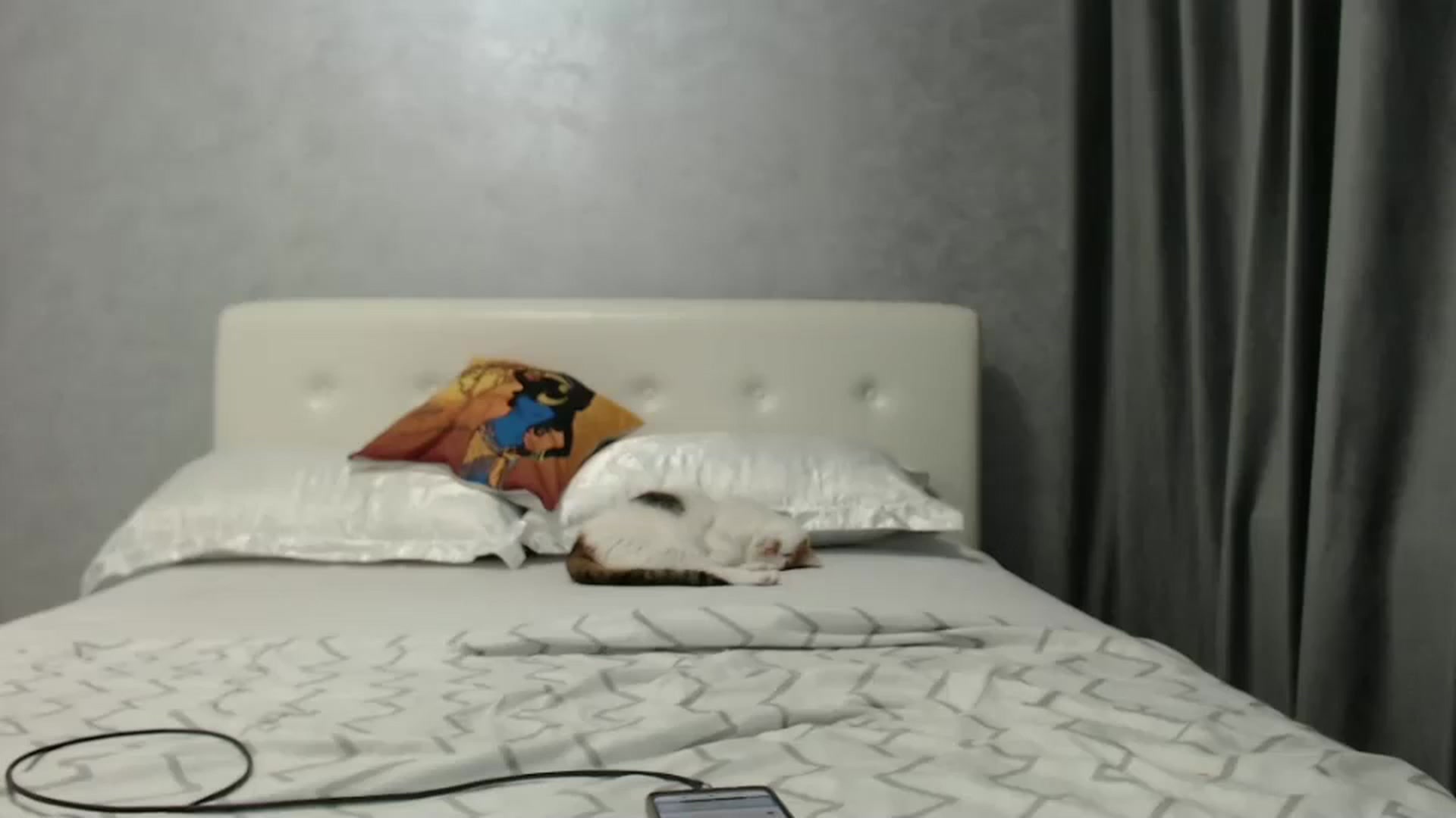 Gallery image thumbnail from Aahh_Emilia's myfreecams stream on, 01/07/2025, 17:48 image 18 of 20