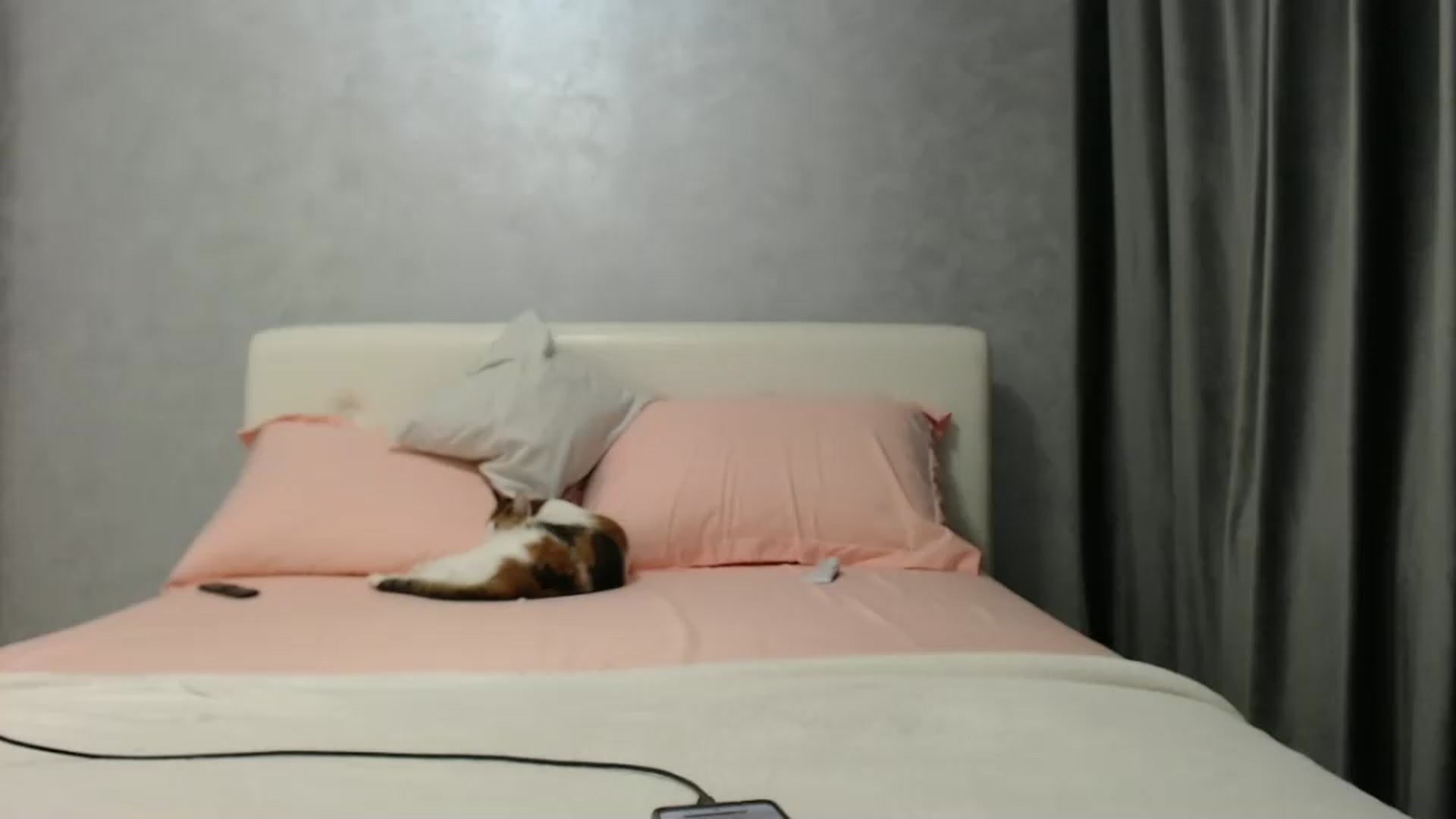 Gallery image thumbnail from Aahh_Emilia's myfreecams stream on, 01/14/2025, 17:58 image 15 of 20