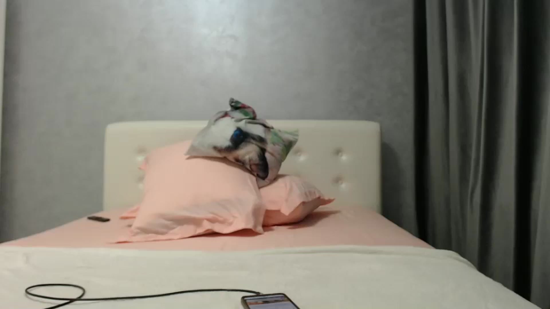 Gallery image thumbnail from Aahh_Emilia's myfreecams stream on, 01/14/2025, 19:57 image 14 of 20