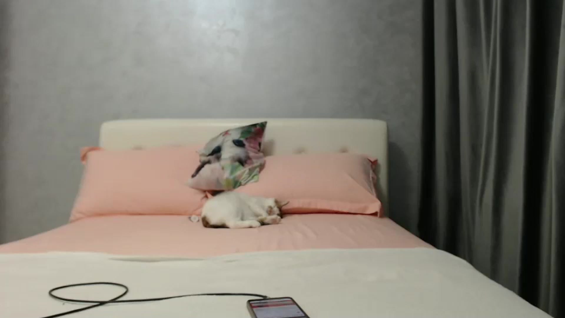 Gallery image thumbnail from Aahh_Emilia's myfreecams stream on, 01/15/2025, 17:21 image 16 of 20