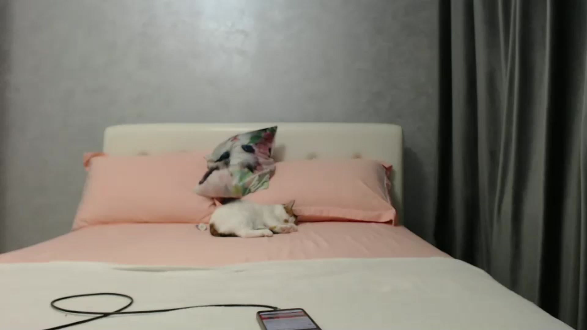Gallery image thumbnail from Aahh_Emilia's myfreecams stream on, 01/15/2025, 17:21 image 17 of 20