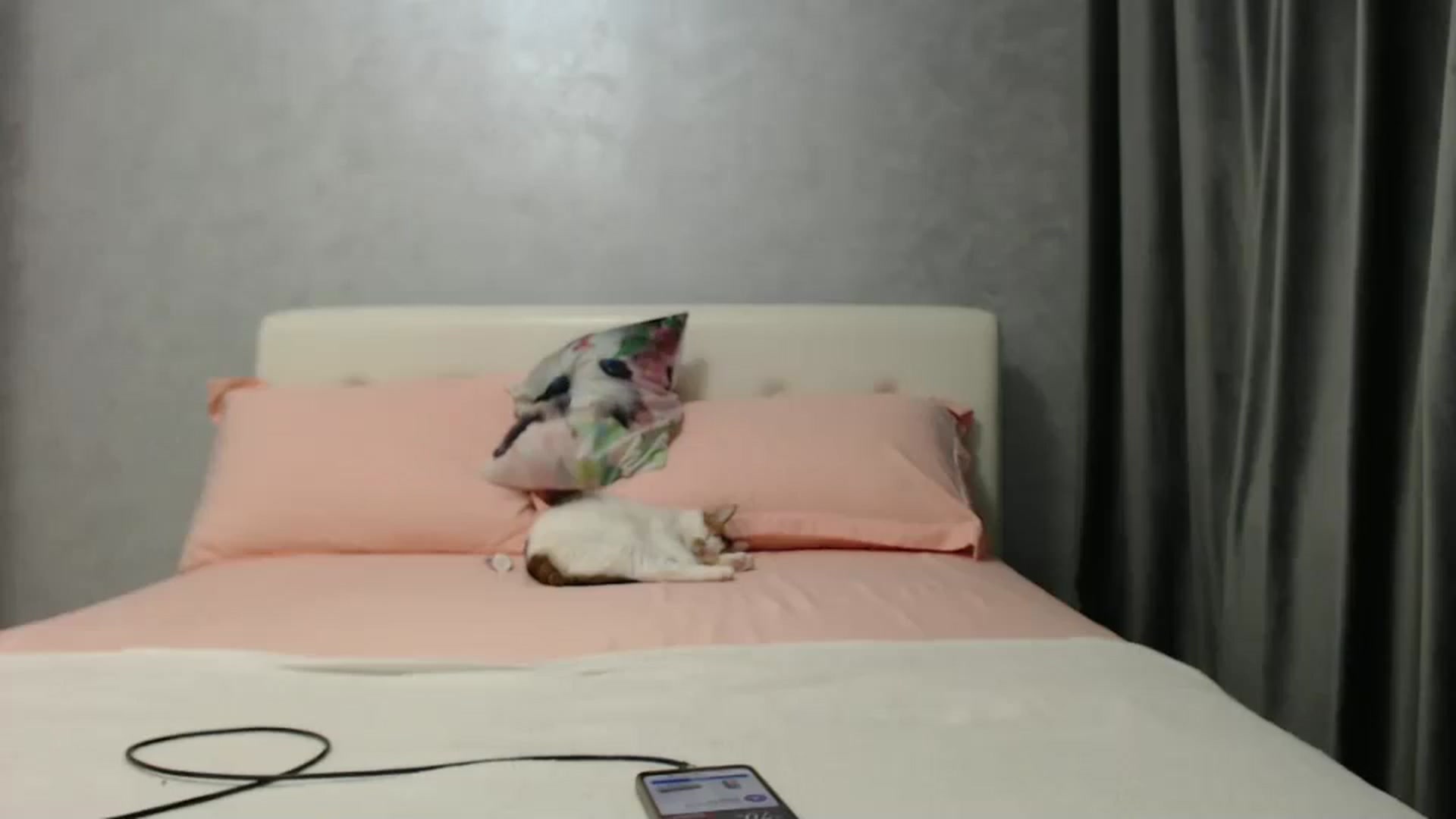 Gallery image thumbnail from Aahh_Emilia's myfreecams stream on, 01/15/2025, 17:21 image 15 of 20