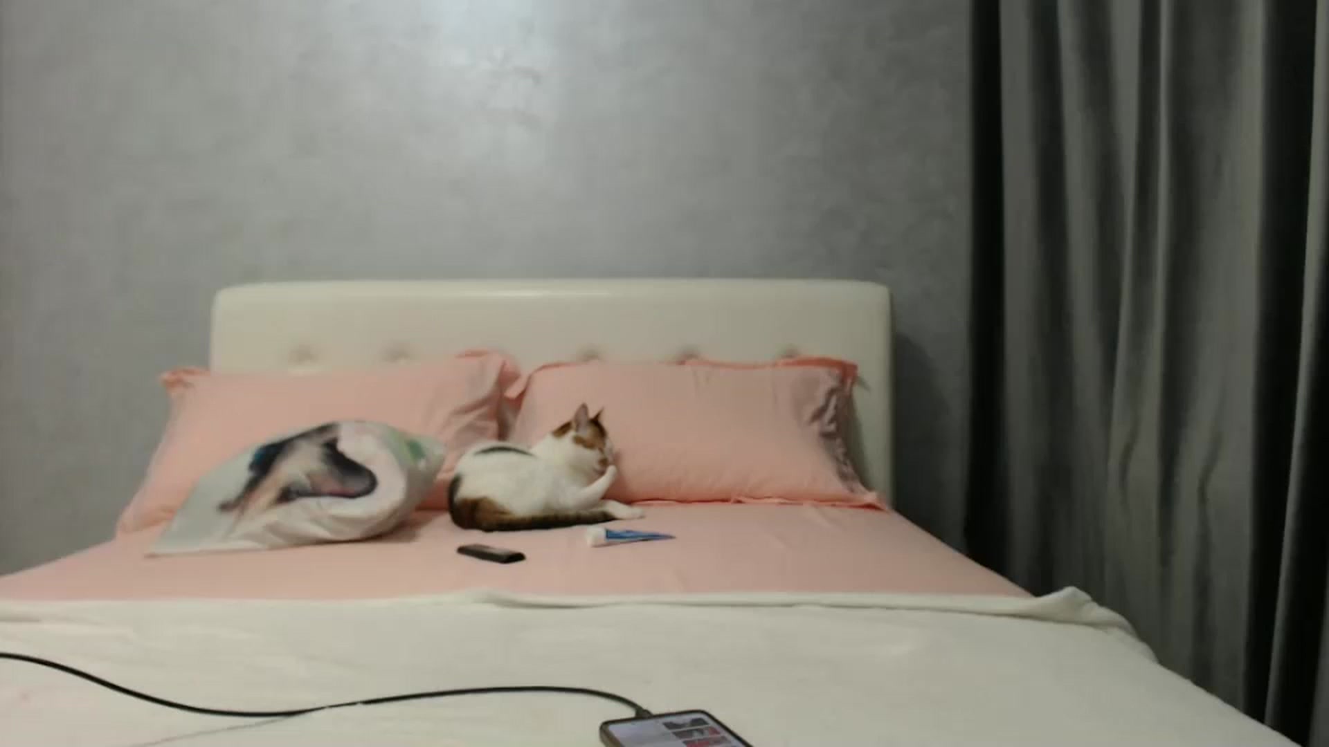 Gallery image thumbnail from Aahh_Emilia's myfreecams stream on, 01/17/2025, 17:50 image 15 of 20