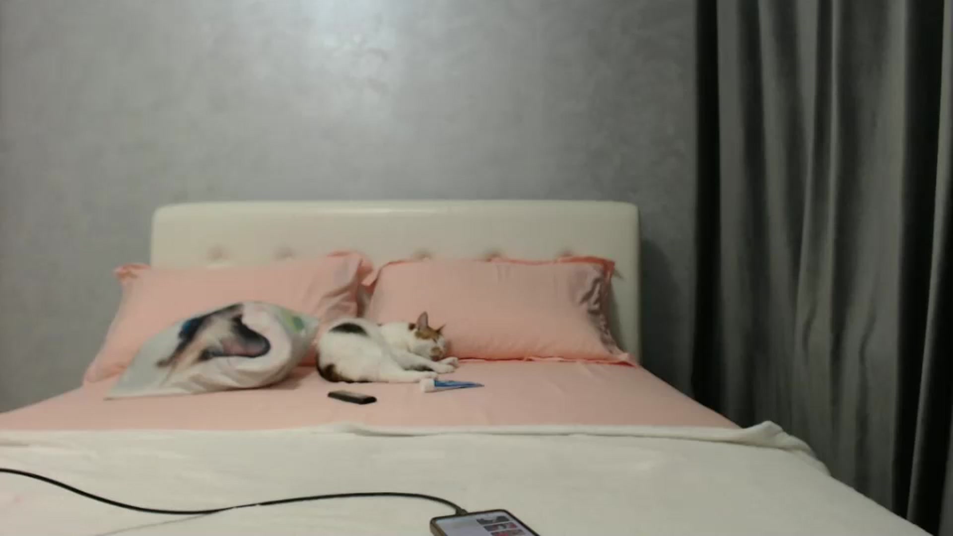 Gallery image thumbnail from Aahh_Emilia's myfreecams stream on, 01/17/2025, 17:50 image 16 of 20