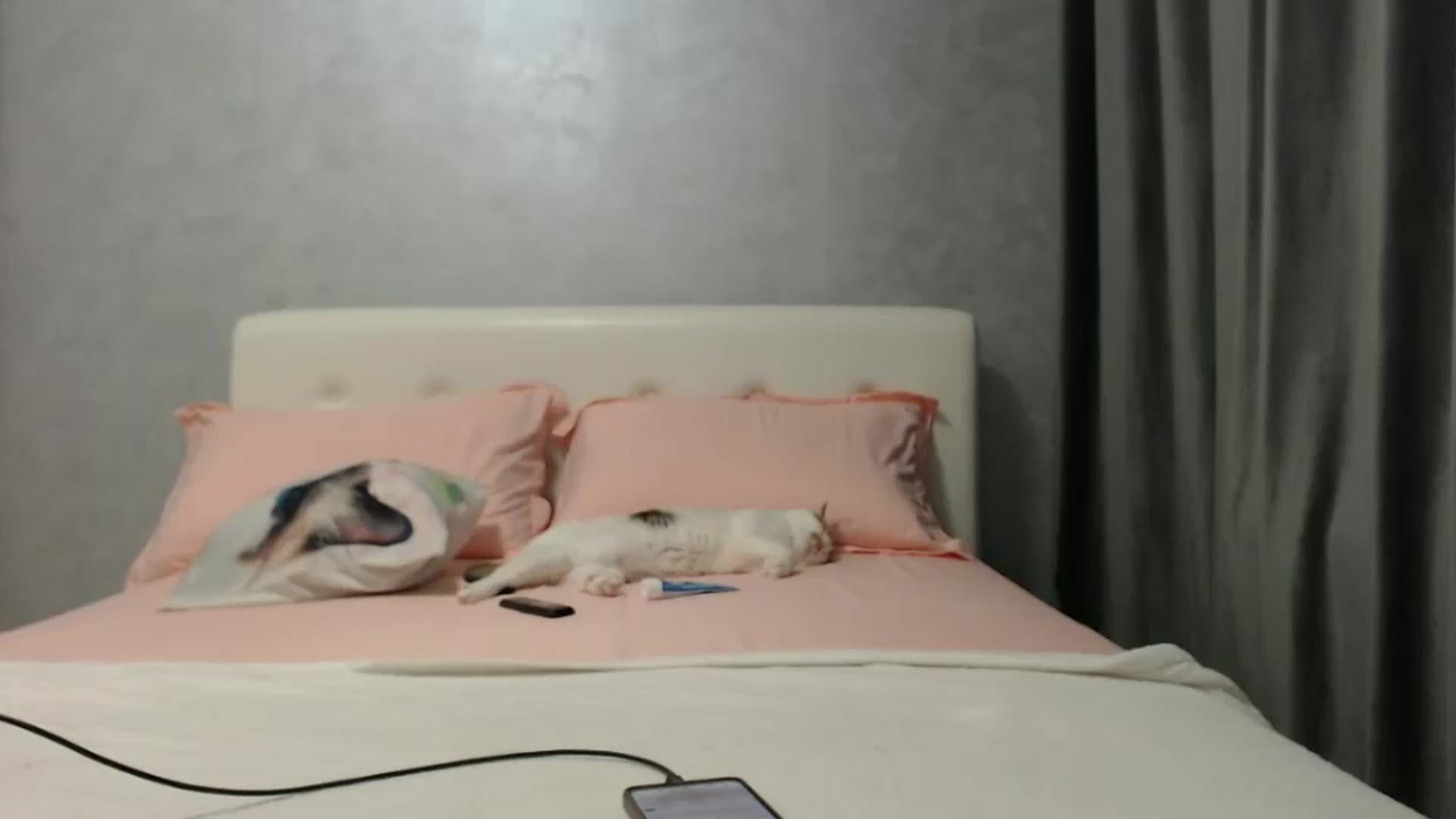 Gallery image thumbnail from Aahh_Emilia's myfreecams stream on, 01/17/2025, 17:50 image 1 of 20