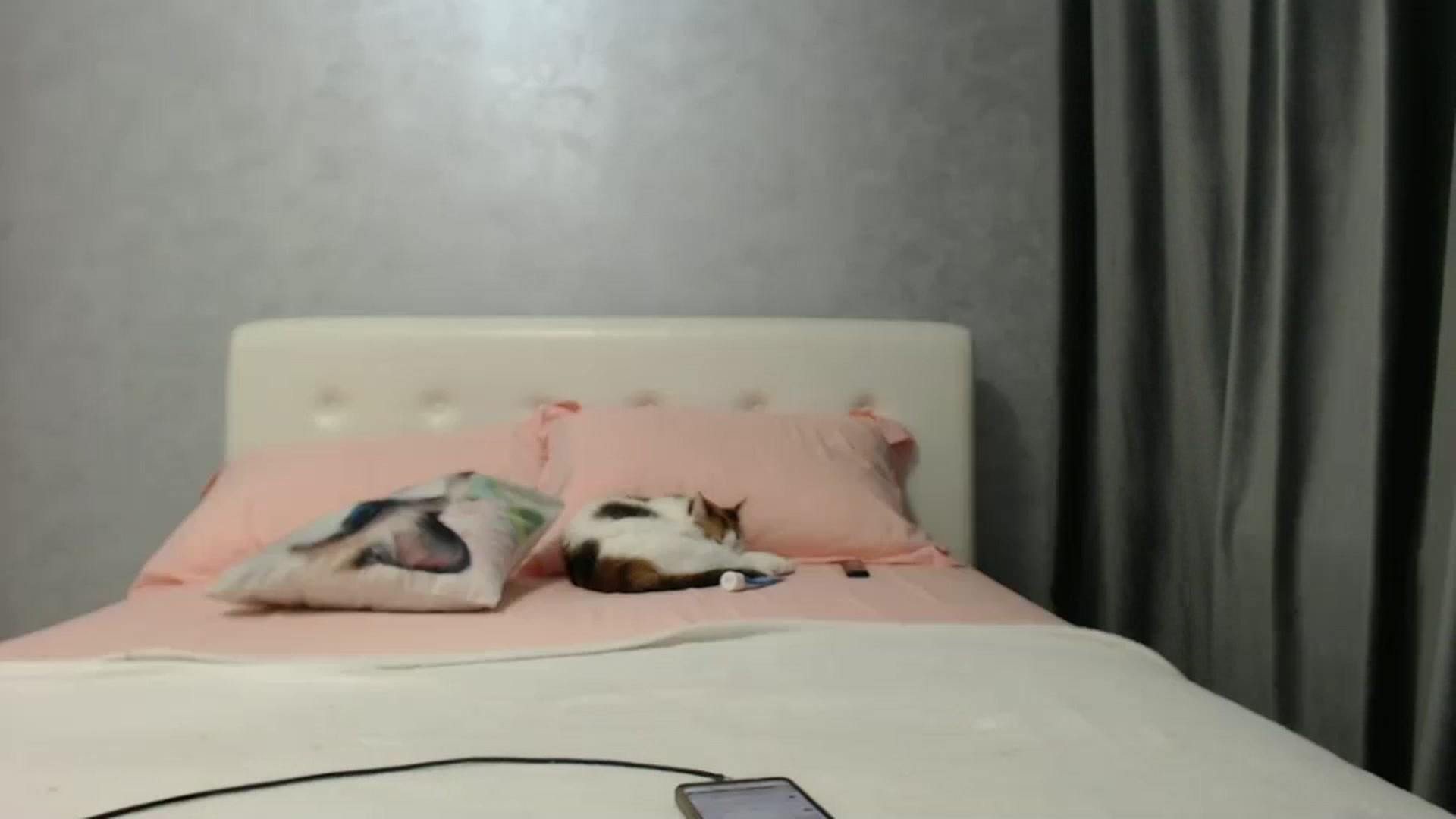 Gallery image thumbnail from Aahh_Emilia's myfreecams stream on, 01/18/2025, 18:01 image 8 of 20