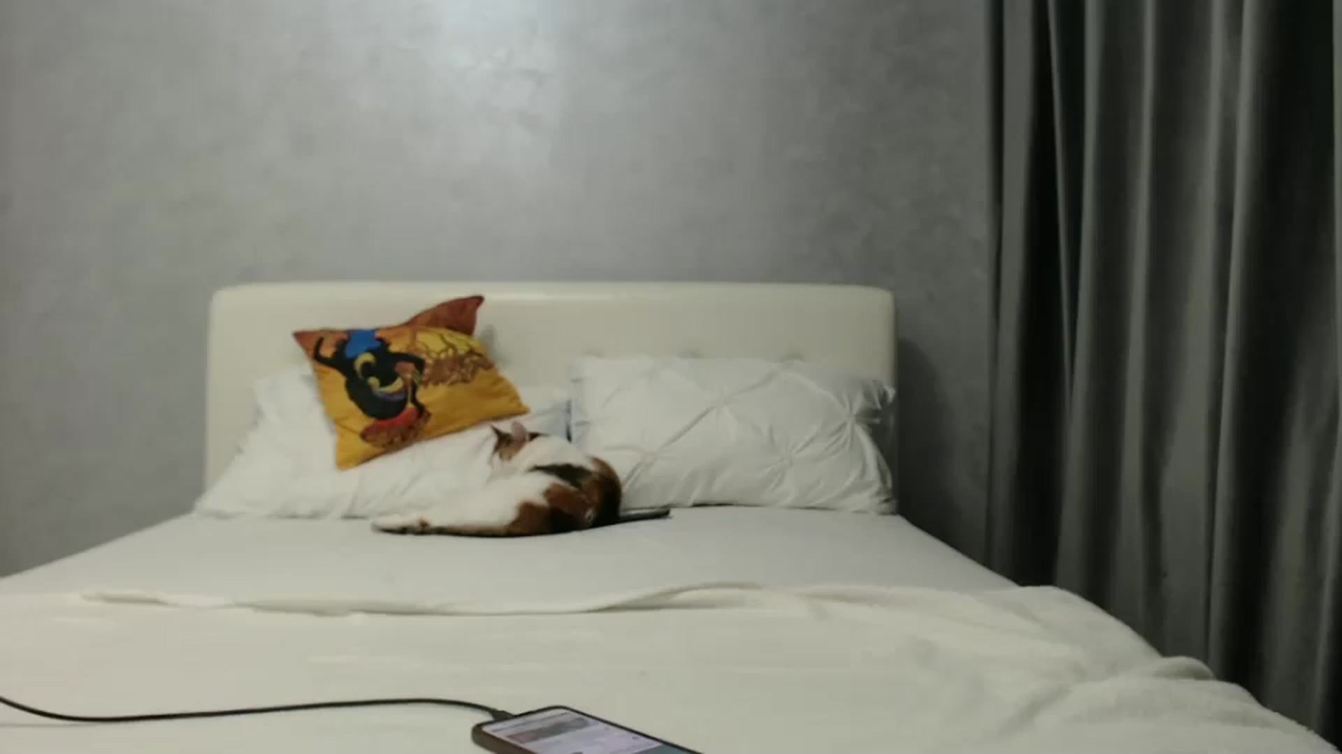 Gallery image thumbnail from Aahh_Emilia's myfreecams stream on, 01/22/2025, 17:23 image 13 of 20
