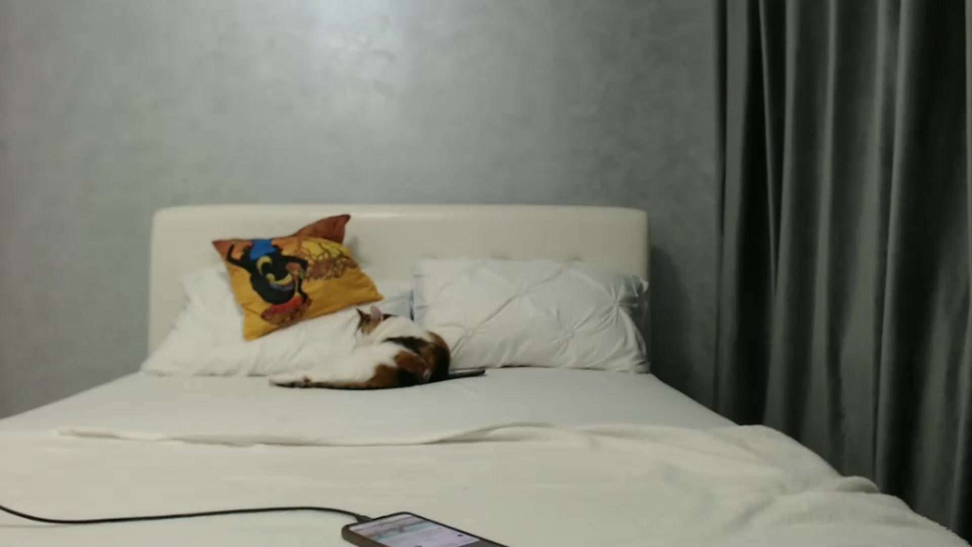 Gallery image thumbnail from Aahh_Emilia's myfreecams stream on, 01/22/2025, 17:23 image 14 of 20