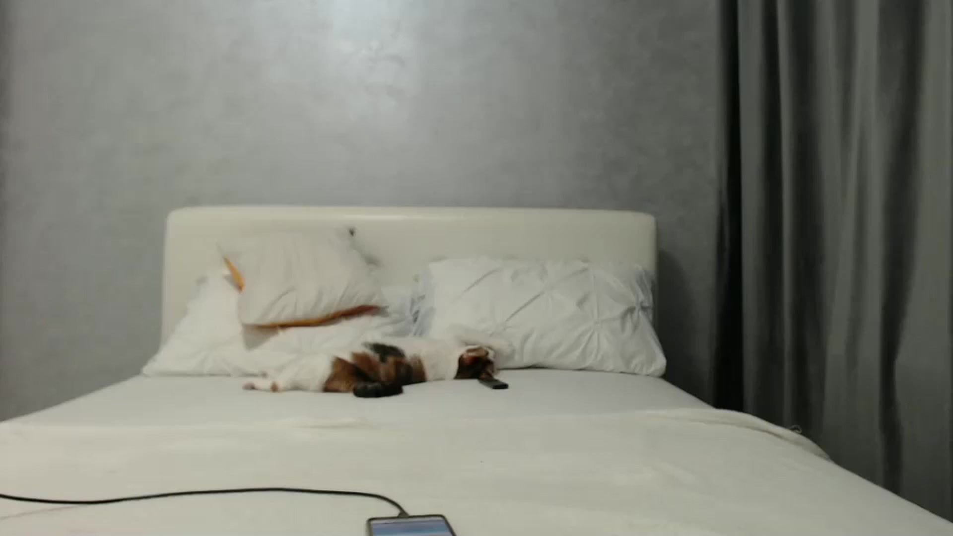Gallery image thumbnail from Aahh_Emilia's myfreecams stream on, 01/27/2025, 17:35 image 13 of 20