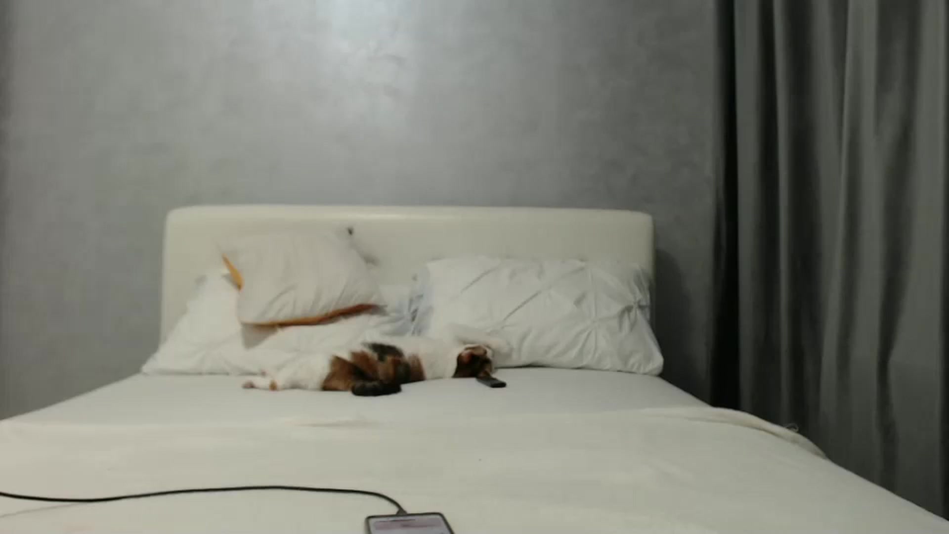 Gallery image thumbnail from Aahh_Emilia's myfreecams stream on, 01/27/2025, 17:35 image 16 of 20