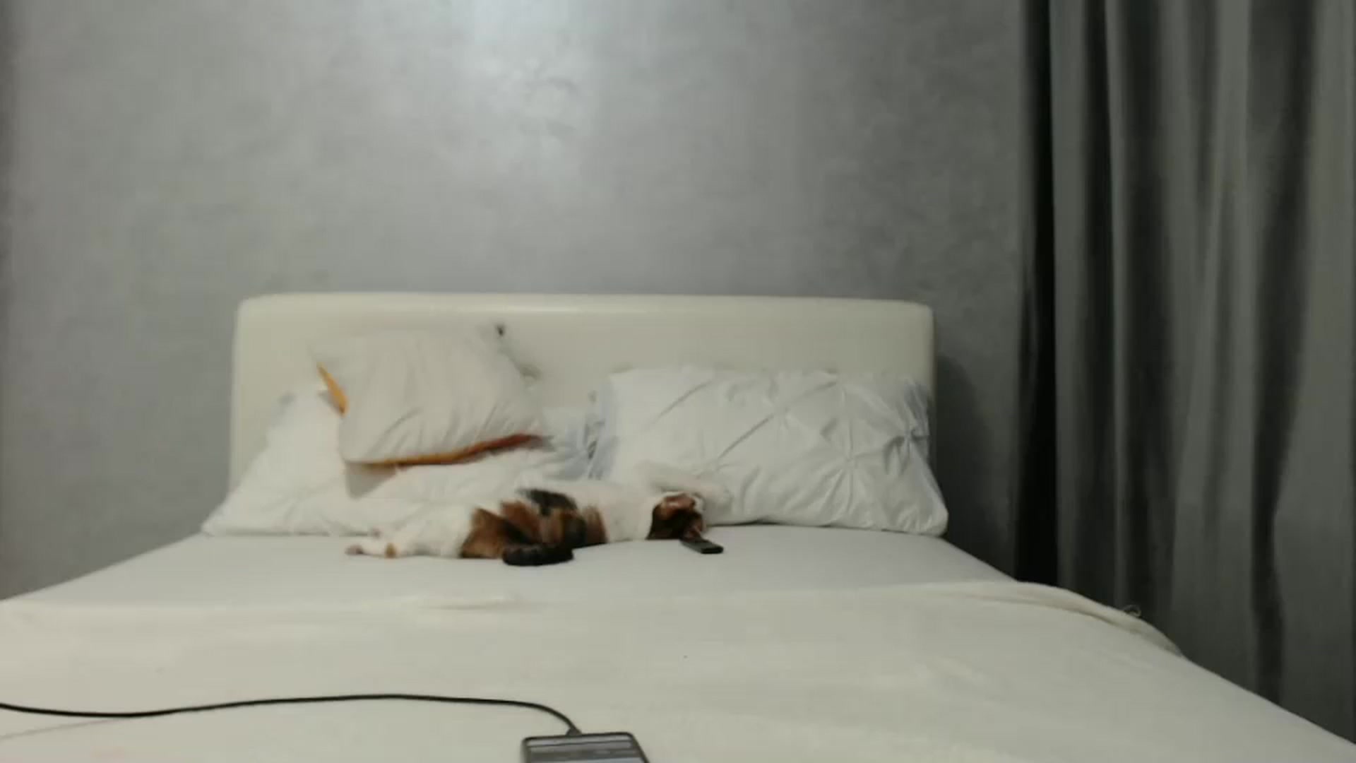 Gallery image thumbnail from Aahh_Emilia's myfreecams stream on, 01/27/2025, 17:35 image 14 of 20