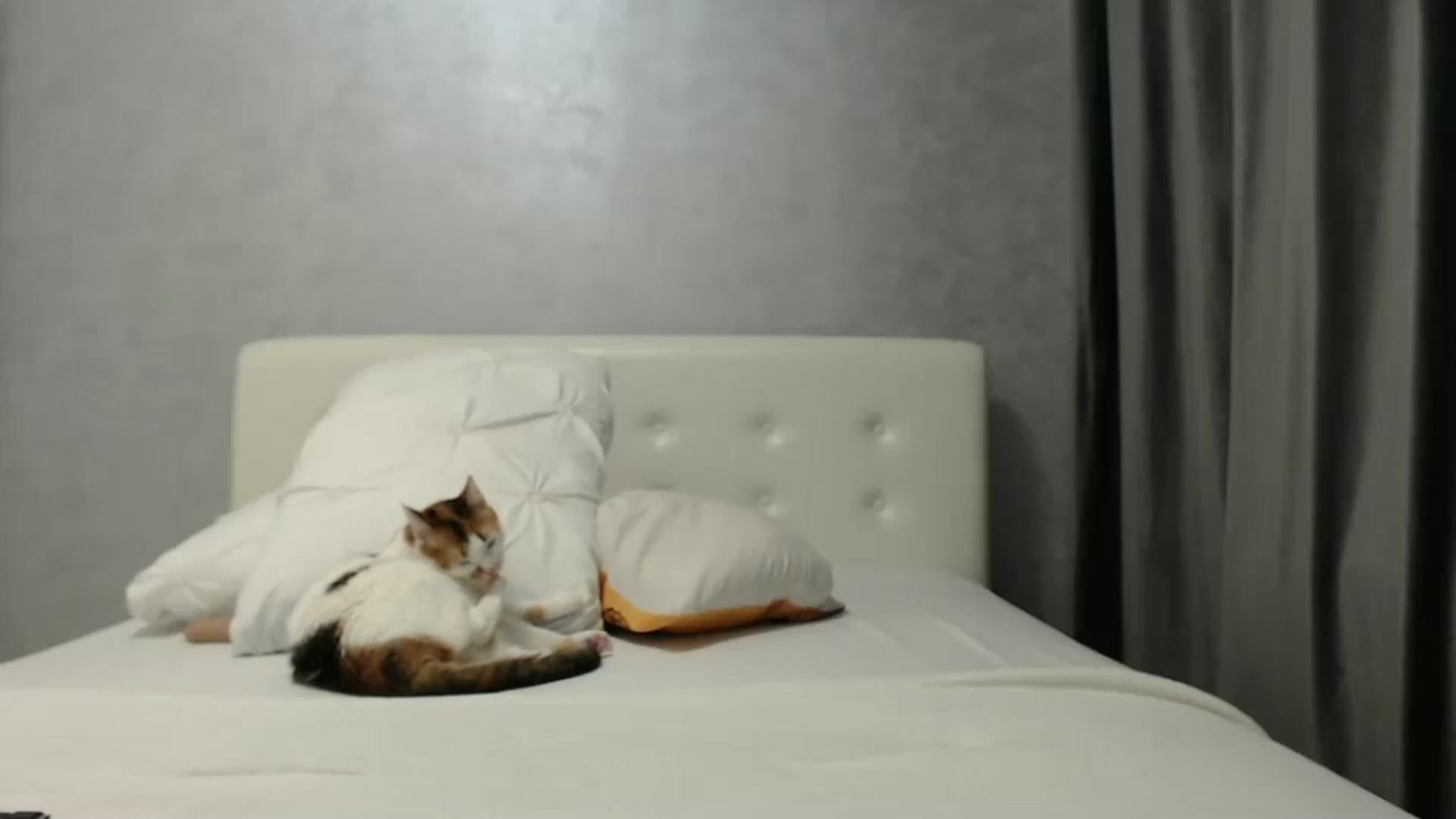 Gallery image thumbnail from Aahh_Emilia's myfreecams stream on, 01/28/2025, 19:00 image 16 of 20