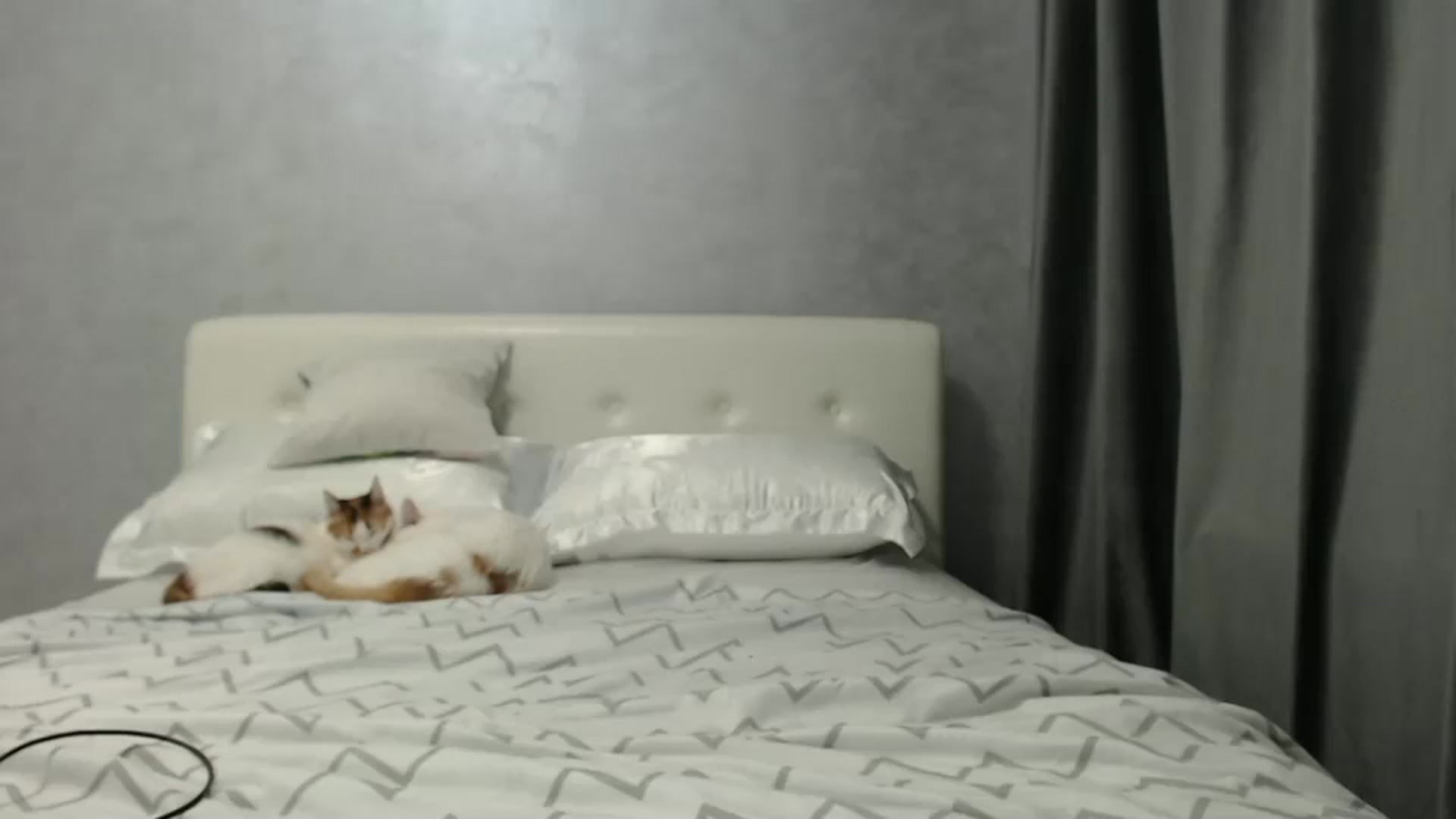 Gallery image thumbnail from Aahh_Emilia's myfreecams stream on, 01/29/2025, 17:27 image 19 of 20