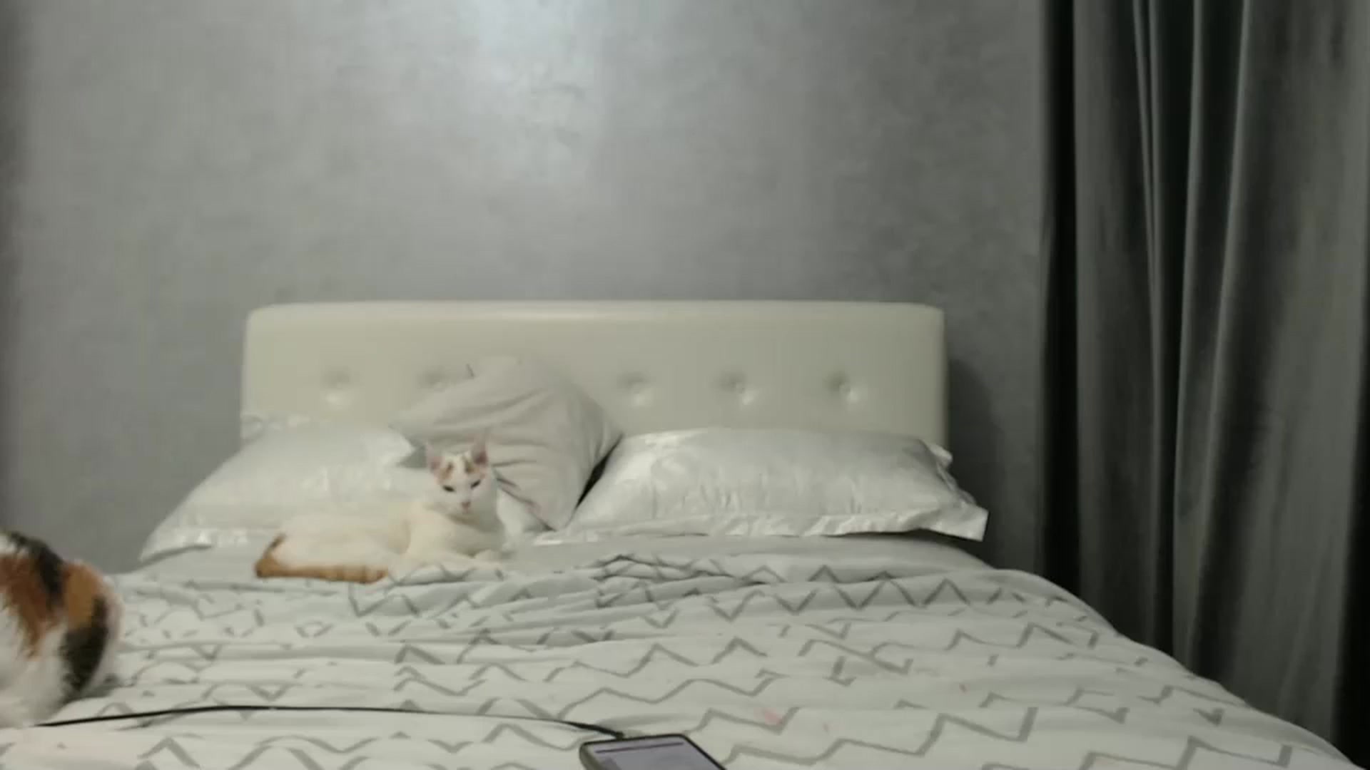 Gallery image thumbnail from Aahh_Emilia's myfreecams stream on, 02/03/2025, 17:37 image 15 of 20