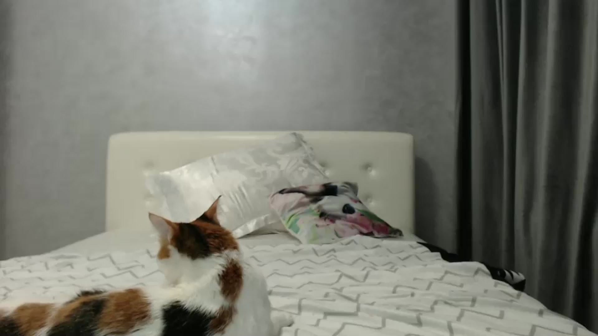 Gallery image thumbnail from Aahh_Emilia's myfreecams stream on, 02/03/2025, 19:34 image 15 of 20