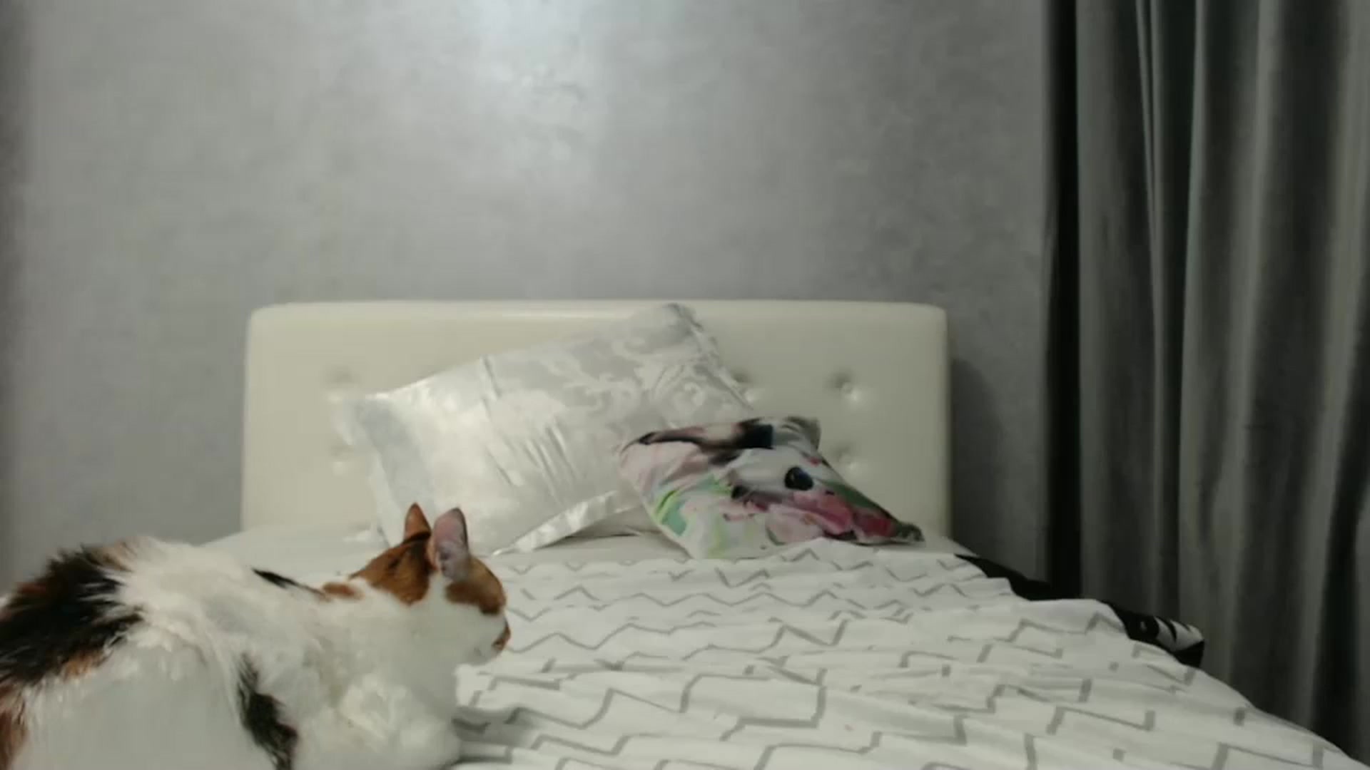 Gallery image thumbnail from Aahh_Emilia's myfreecams stream on, 02/03/2025, 19:34 image 18 of 20
