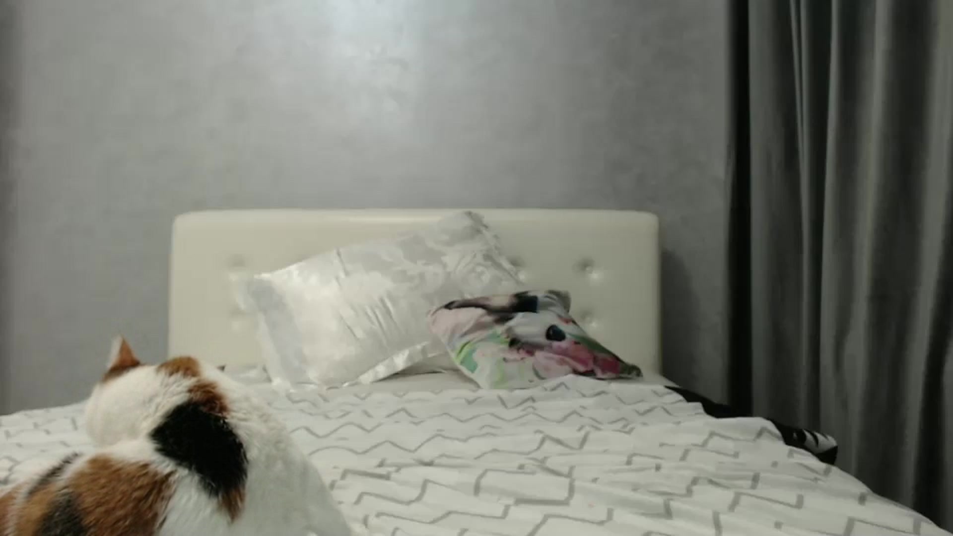 Gallery image thumbnail from Aahh_Emilia's myfreecams stream on, 02/03/2025, 19:34 image 17 of 20
