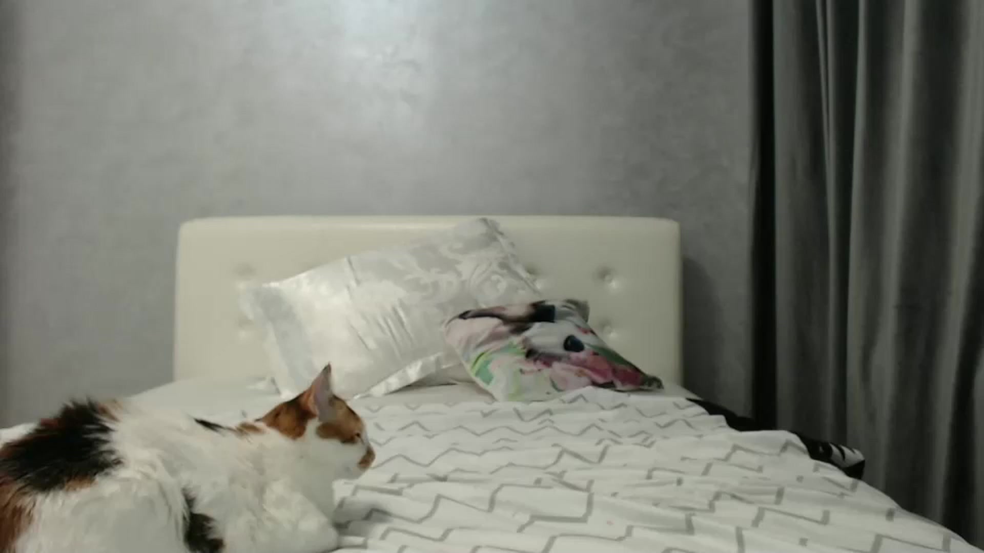 Gallery image thumbnail from Aahh_Emilia's myfreecams stream on, 02/03/2025, 19:34 image 19 of 20