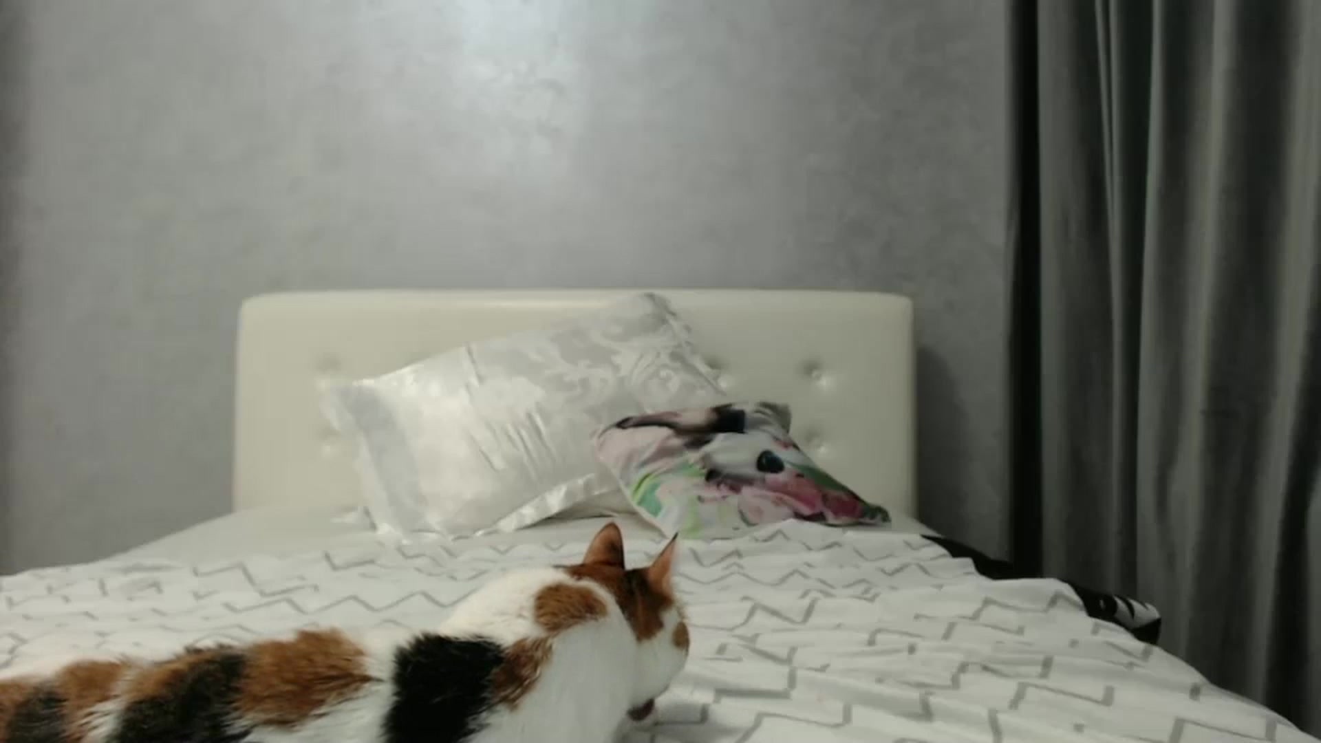 Gallery image thumbnail from Aahh_Emilia's myfreecams stream on, 02/03/2025, 19:34 image 16 of 20