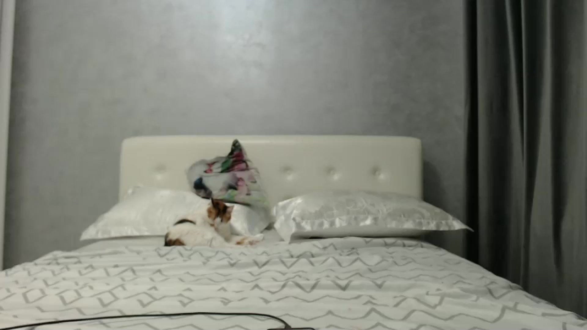Gallery image thumbnail from Aahh_Emilia's myfreecams stream on, 02/06/2025, 17:41 image 15 of 20