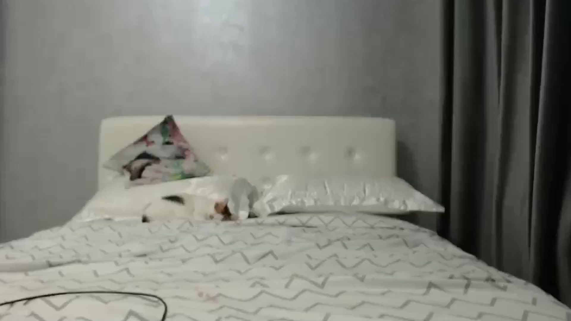 Gallery image thumbnail from Aahh_Emilia's myfreecams stream on, 02/10/2025, 17:49 image 4 of 20
