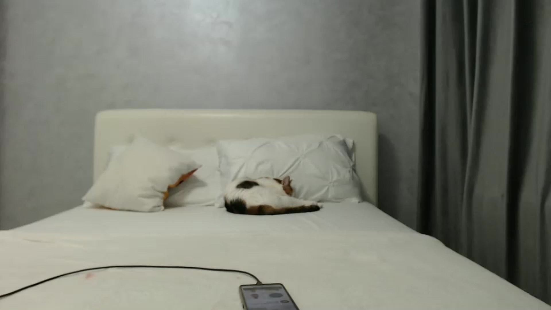Gallery image thumbnail from Aahh_Emilia's myfreecams stream on, 02/14/2025, 17:39 image 15 of 20