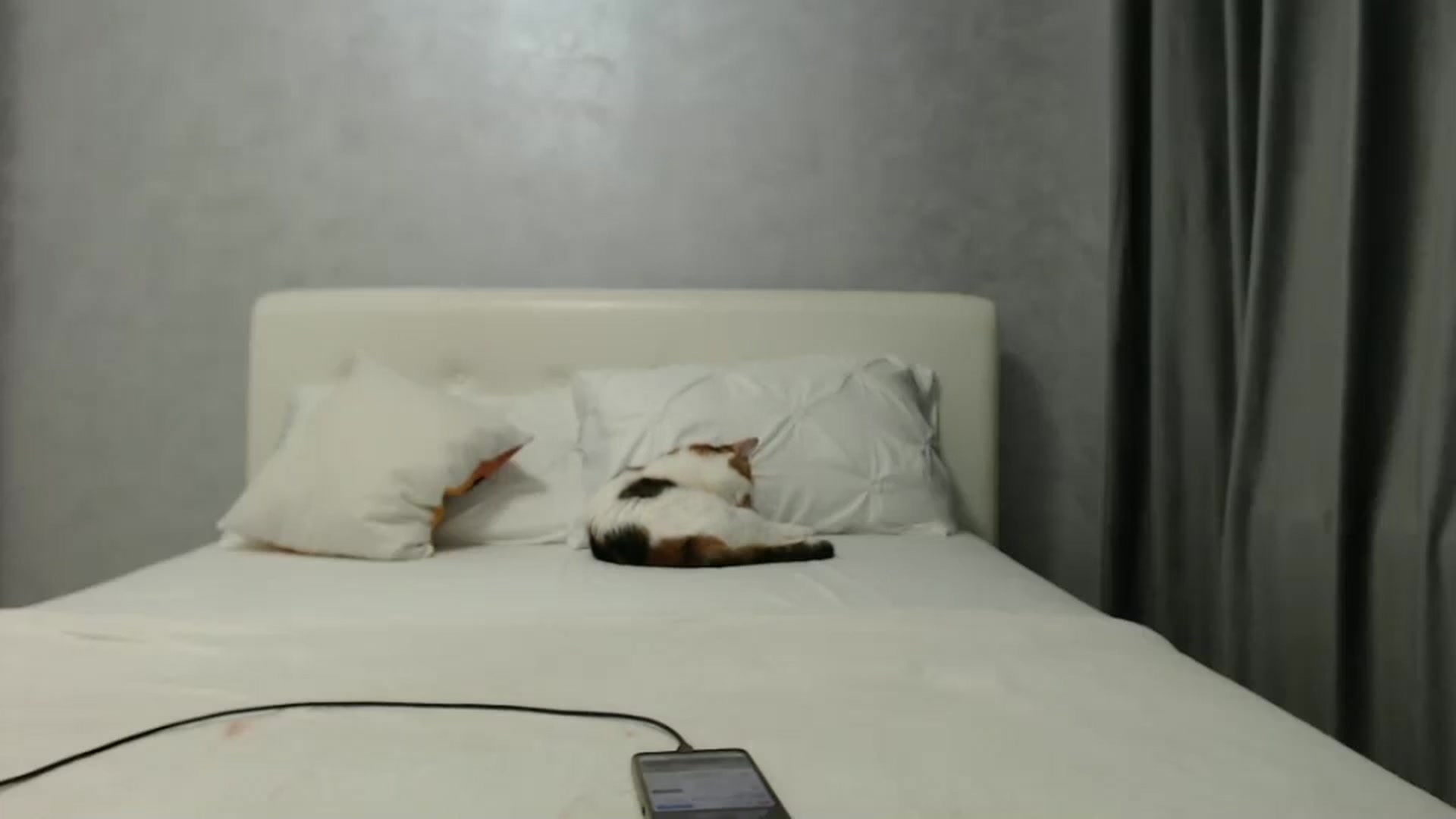Gallery image thumbnail from Aahh_Emilia's myfreecams stream on, 02/14/2025, 17:39 image 14 of 20