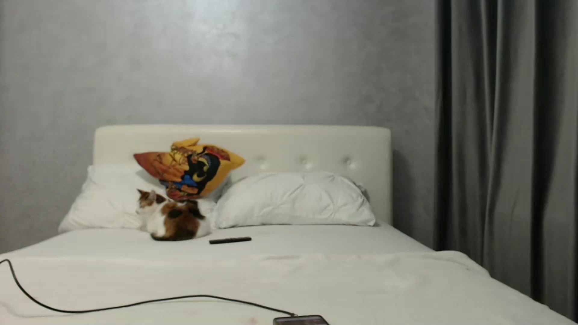 Gallery image thumbnail from Aahh_Emilia's myfreecams stream on, 02/15/2025, 17:44 image 8 of 20