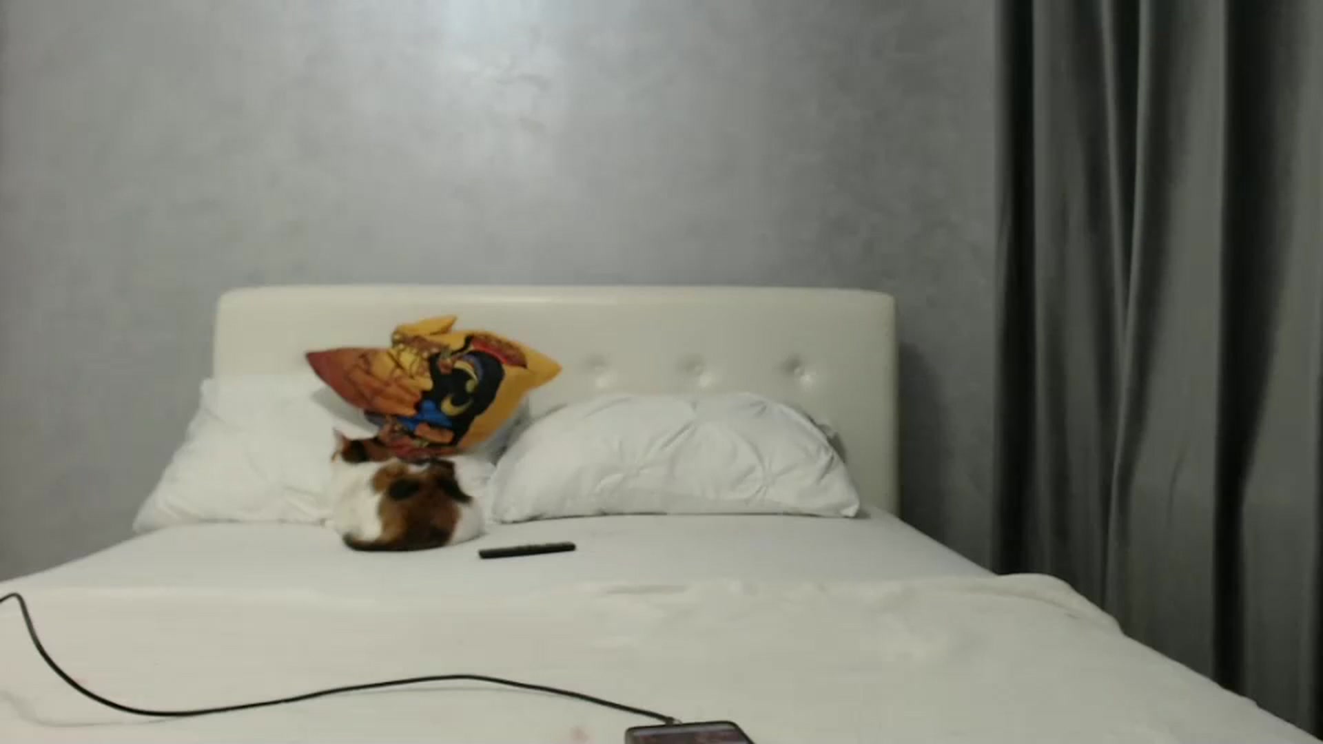 Gallery image thumbnail from Aahh_Emilia's myfreecams stream on, 02/15/2025, 17:44 image 10 of 20