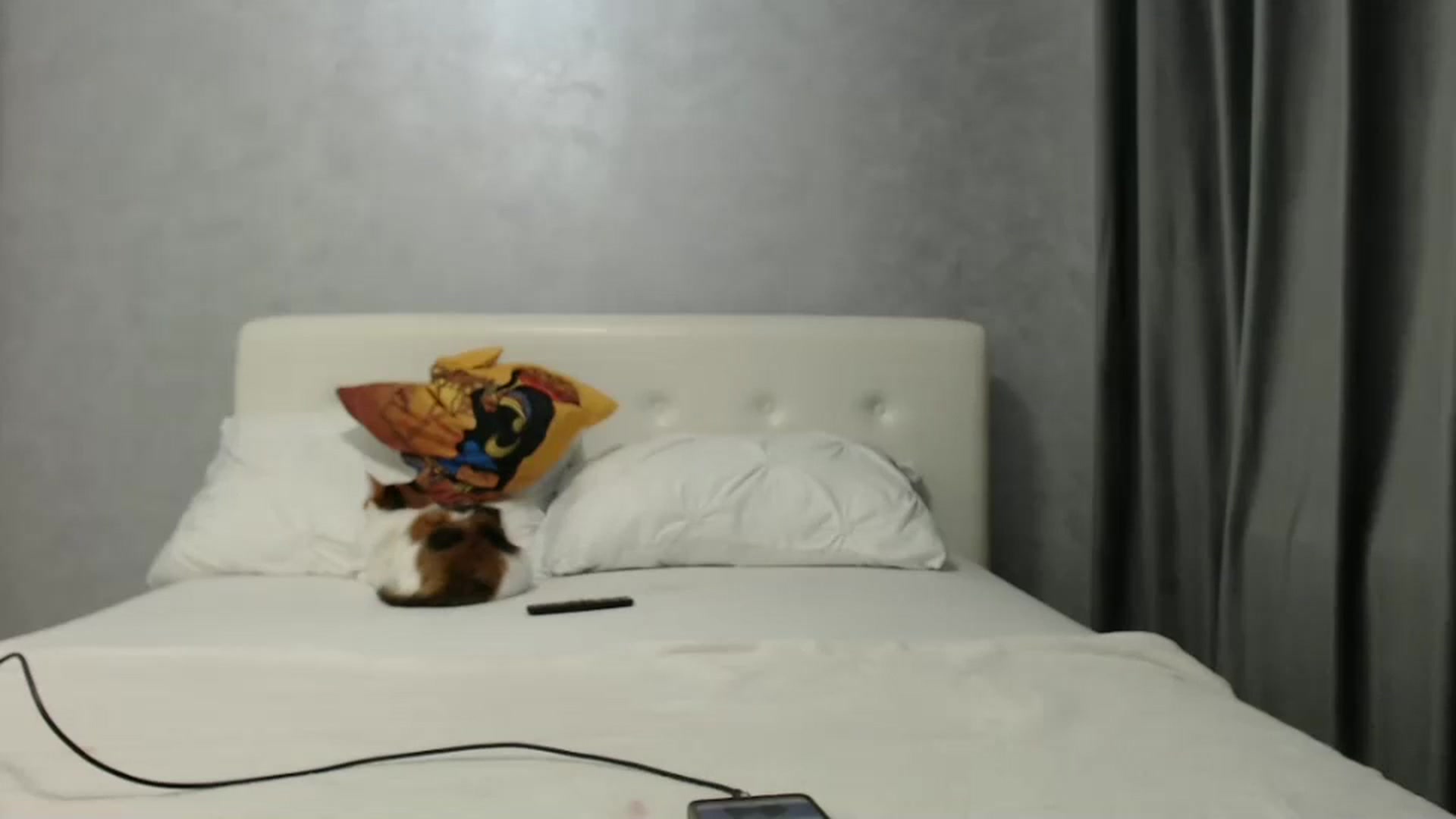 Gallery image thumbnail from Aahh_Emilia's myfreecams stream on, 02/15/2025, 17:44 image 11 of 20