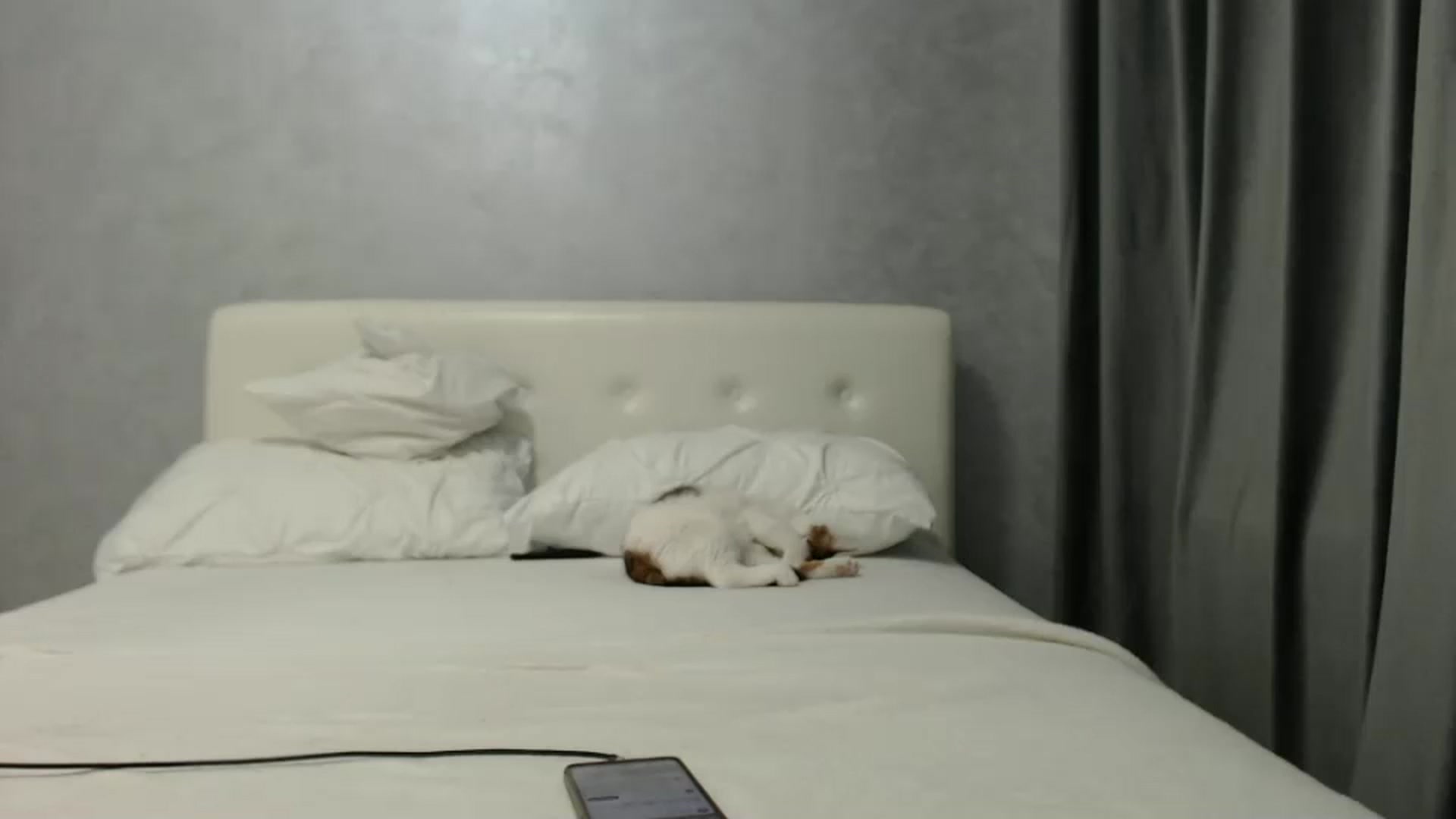 Gallery image thumbnail from Aahh_Emilia's myfreecams stream on, 02/18/2025, 17:58 image 12 of 20