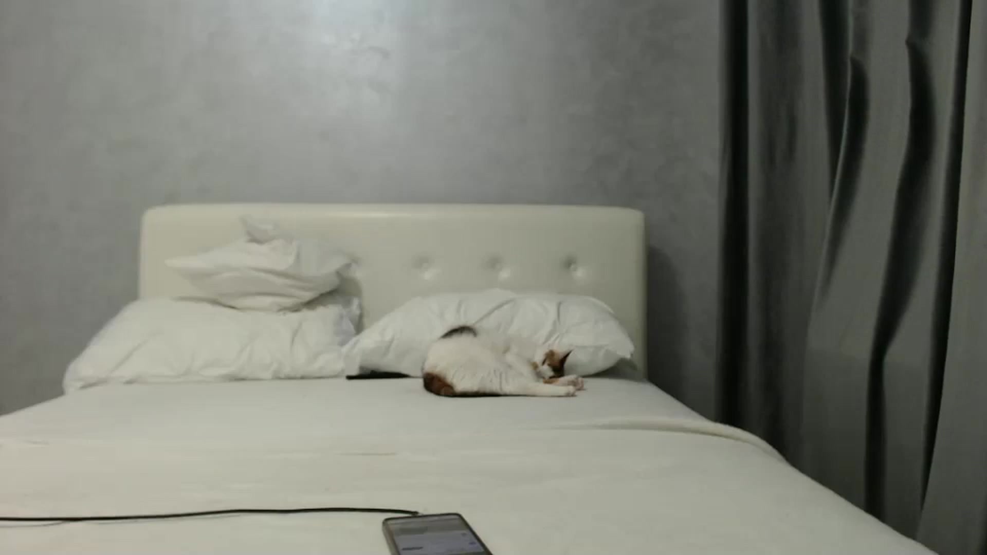 Gallery image thumbnail from Aahh_Emilia's myfreecams stream on, 02/18/2025, 17:58 image 10 of 20