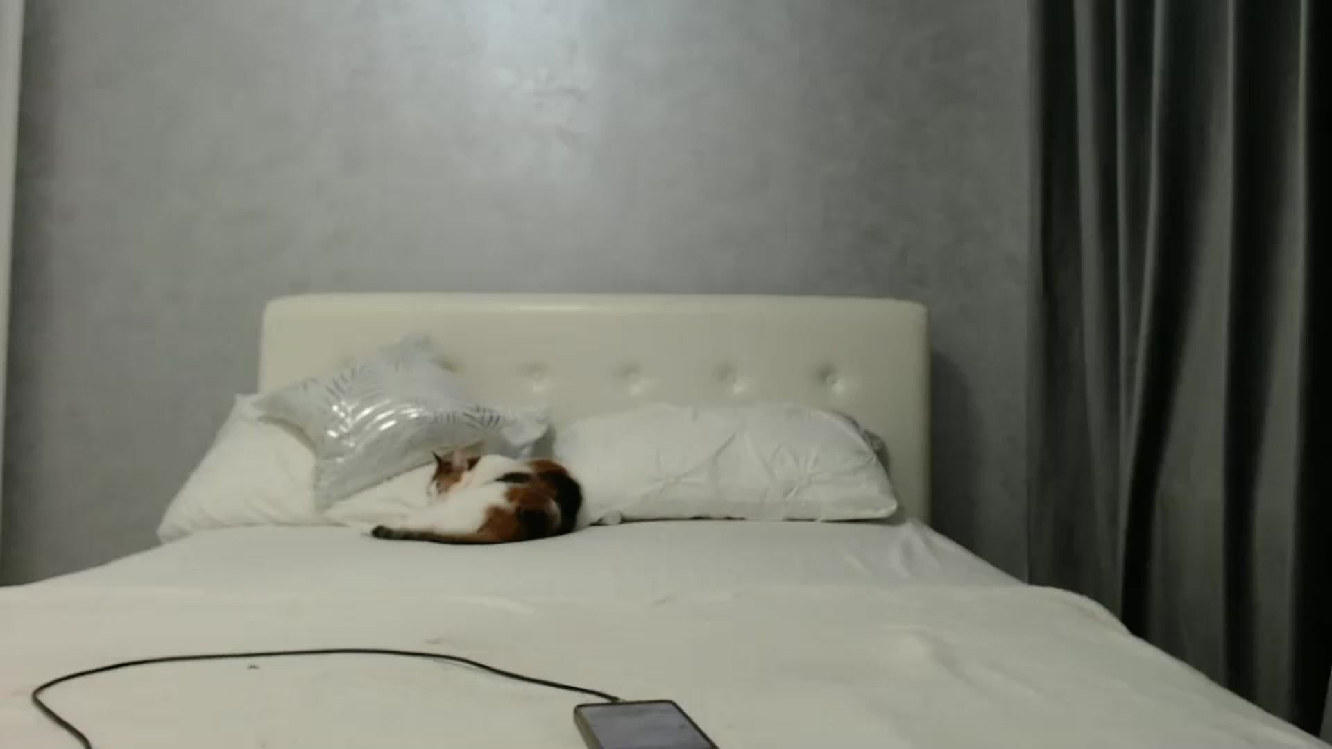 Gallery image thumbnail from Aahh_Emilia's myfreecams stream on, 02/21/2025, 17:51 image 18 of 20